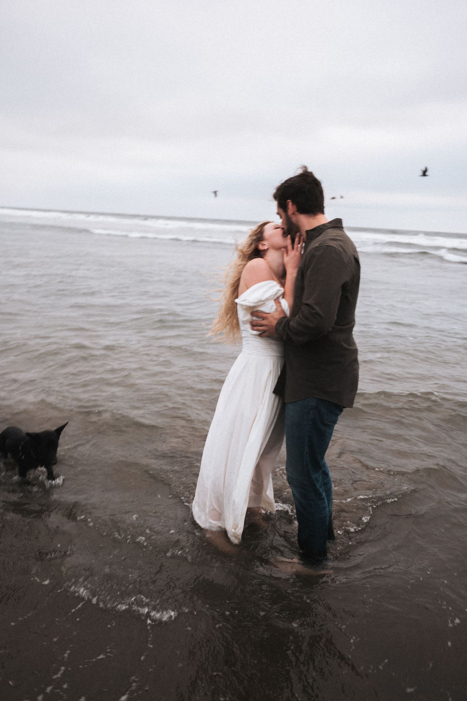 Romantic couple kissing in ocean waves with black dog nearby on overcast beach.