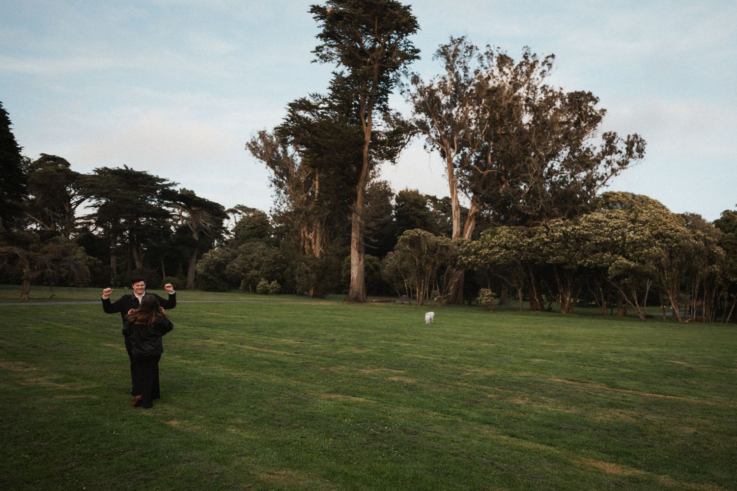 Person standing alone on a vast green lawn surrounded by tall trees at dusk.