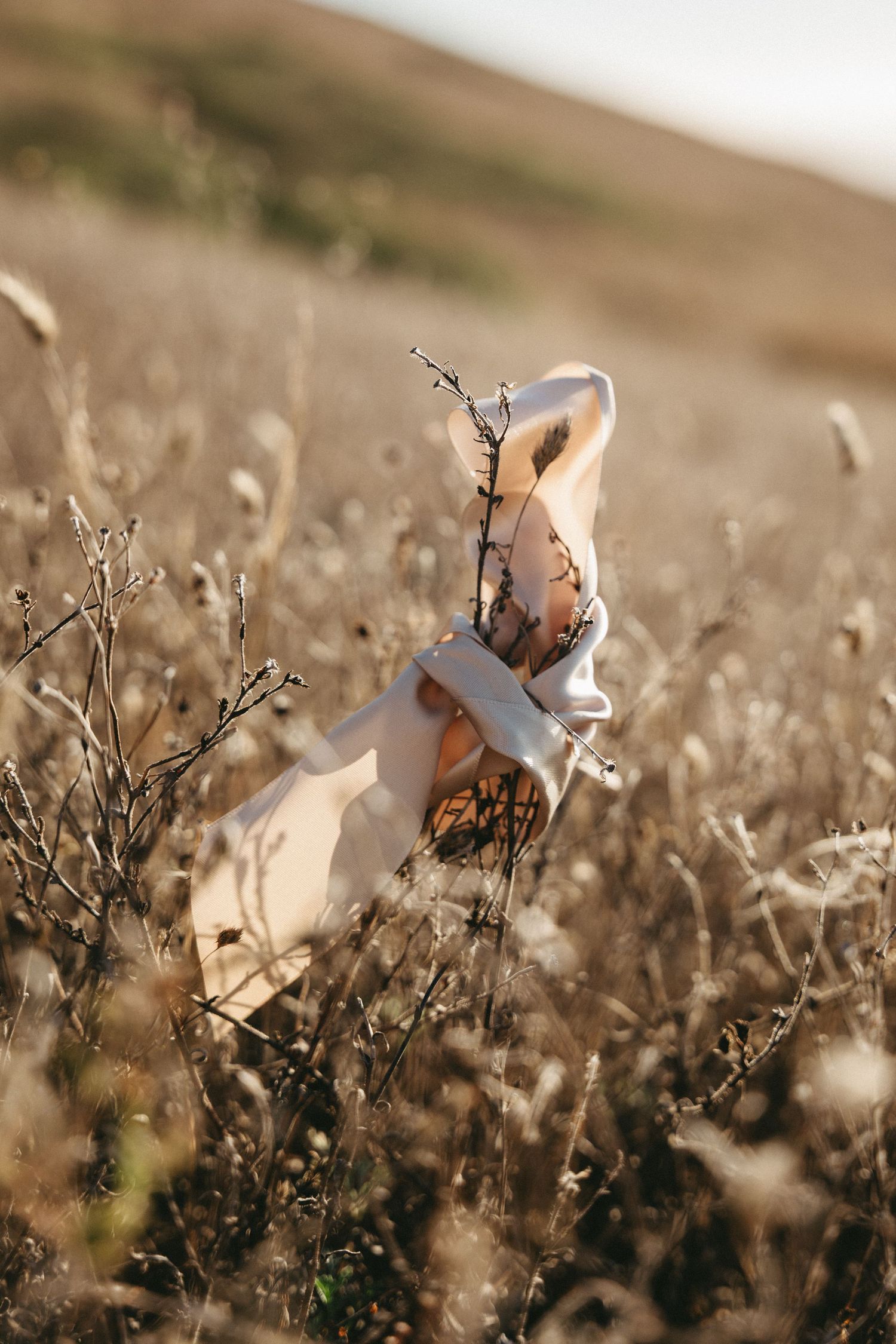 A white cloth or scarf caught on dry wildflower stalks in a sunlit golden field with soft blurred hills behind.