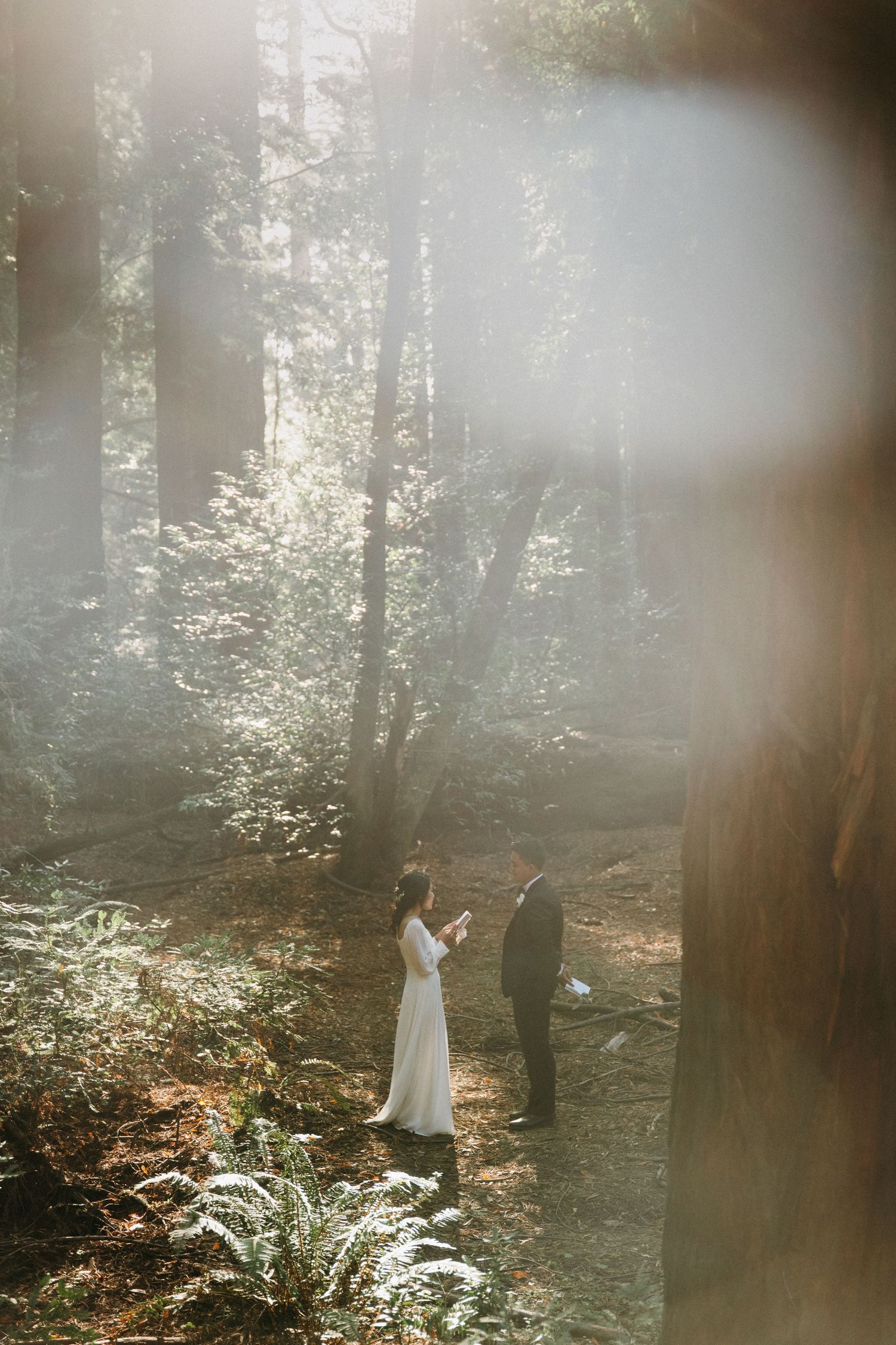 Couple exchanging vows in a sunlit redwood forest, bride in white gown reading from a card.
