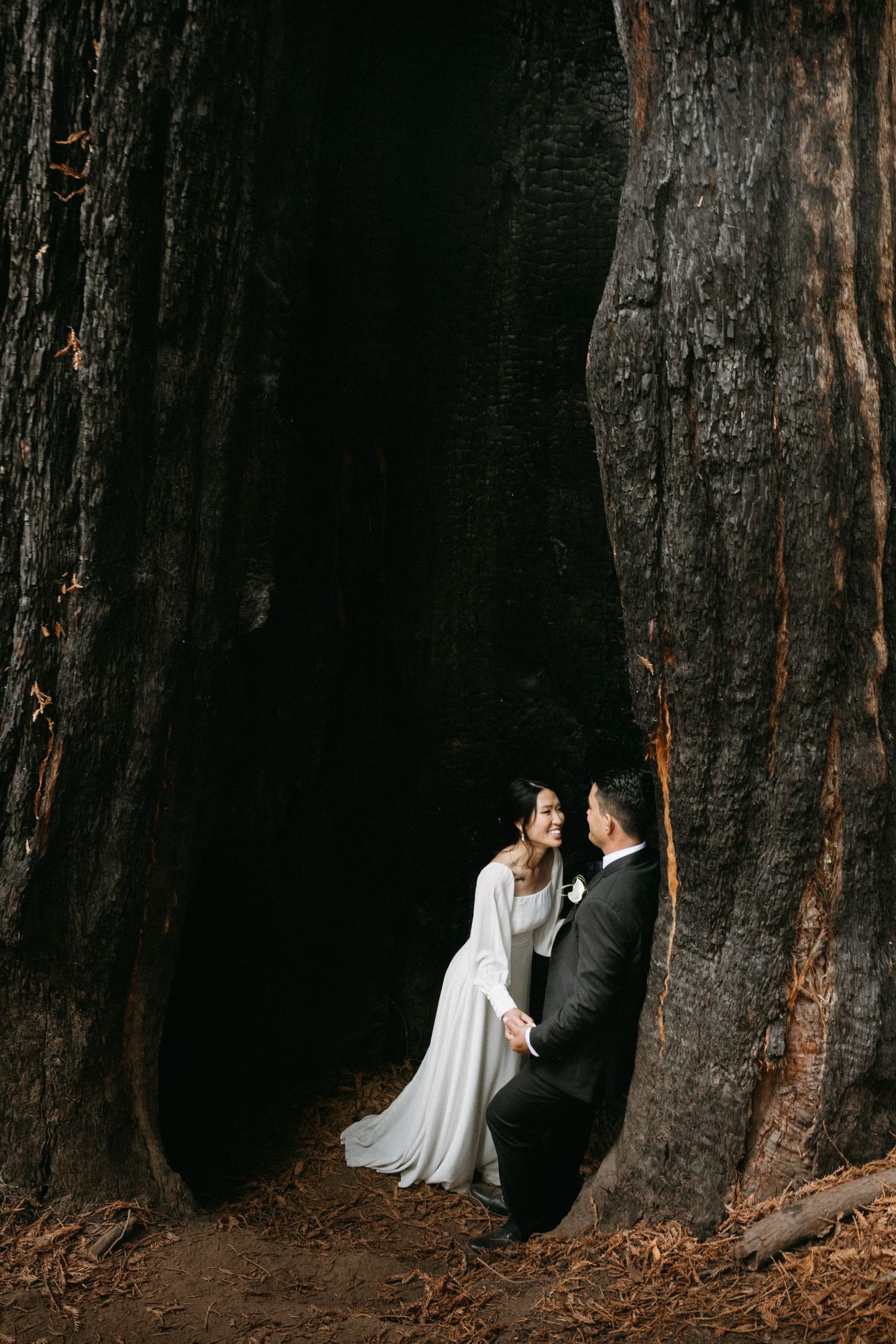 Bride and groom share an intimate moment standing between massive redwood tree trunks in a forest wedding photo.