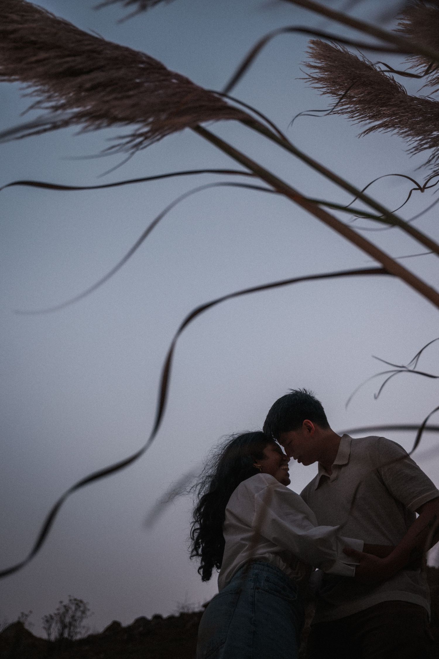 Romantic couple sharing an intimate moment at dusk, framed by wild pampas grass swaying in the breeze.