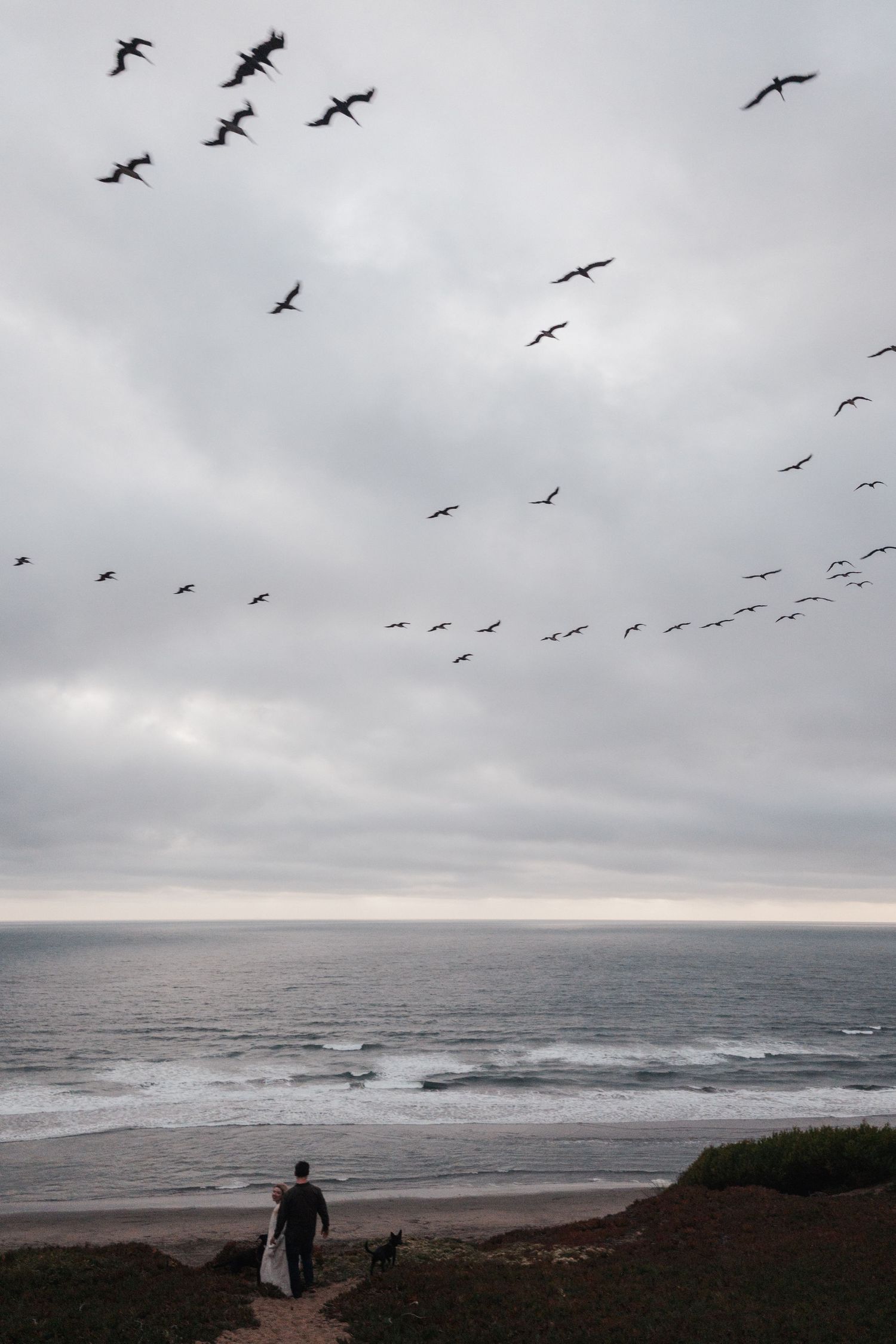 A person stands on a beach cliff watching pelicans fly over the ocean on a cloudy day.