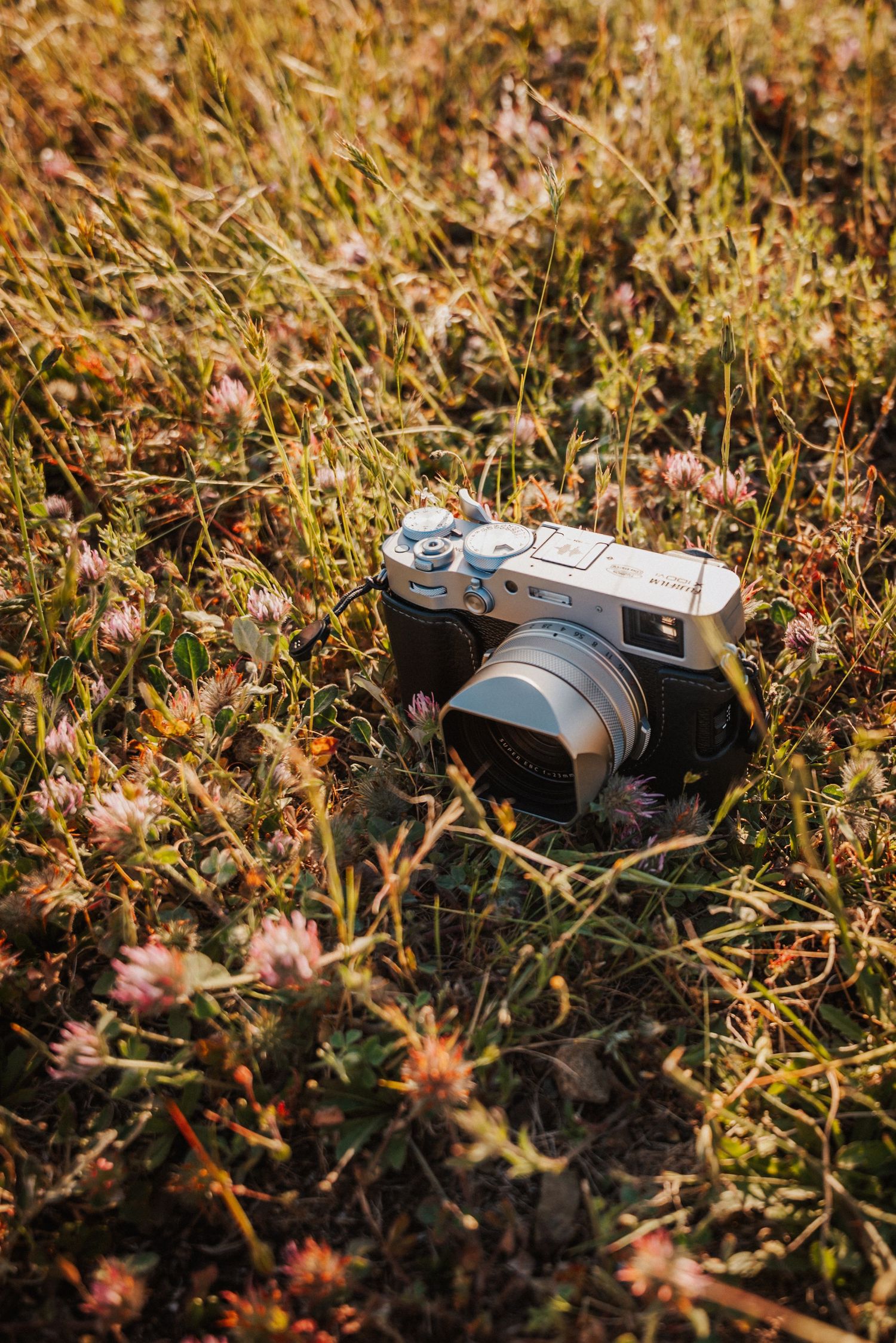 Vintage film camera resting in a meadow with wildflowers and golden grass in warm sunlight.