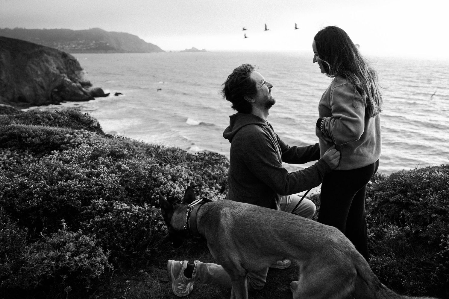 Black and white photo of a man on one knee proposing to a woman by the ocean with a dog nearby.
