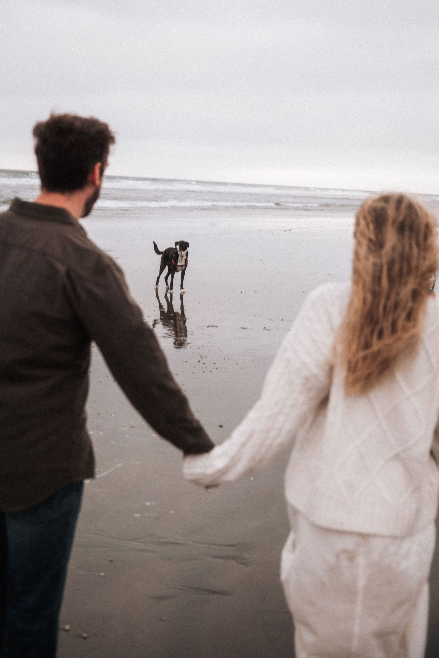 Couple holding hands on a misty beach while their black dog stands in the shallow water ahead.