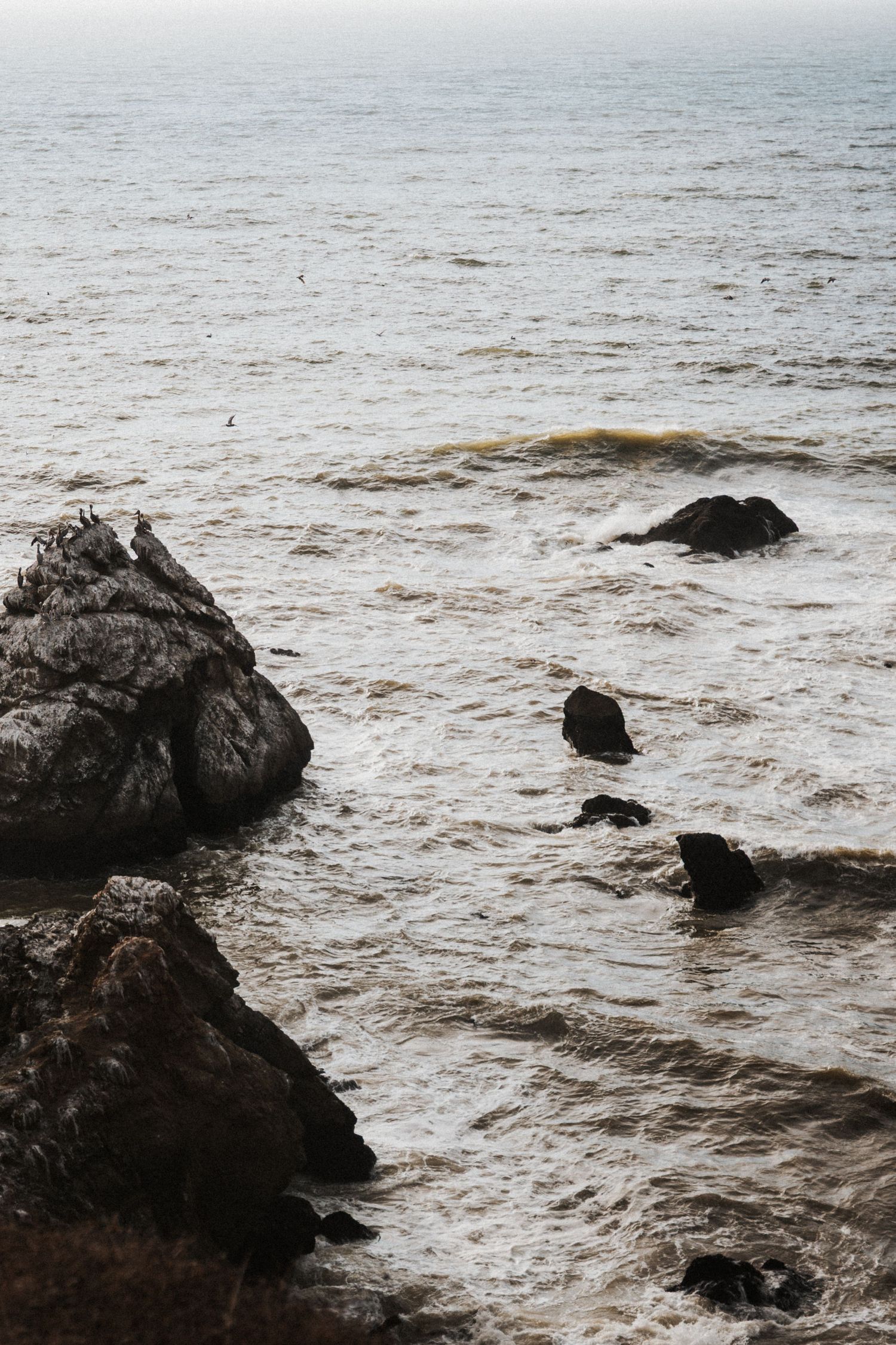 Rocky coastal shoreline with waves crashing against dark boulders under an overcast sky, with seabirds perched on rocks.