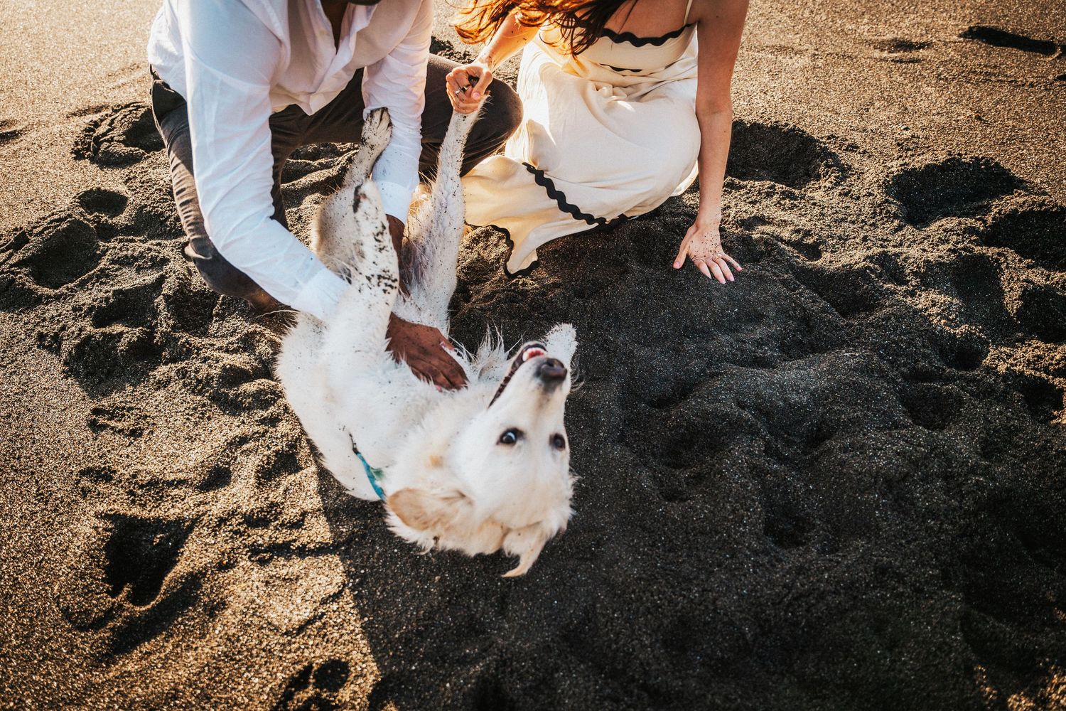 Couple in white wedding attire petting a white dog rolling in black sand on a beach.Photography by The Y.K. Studio.