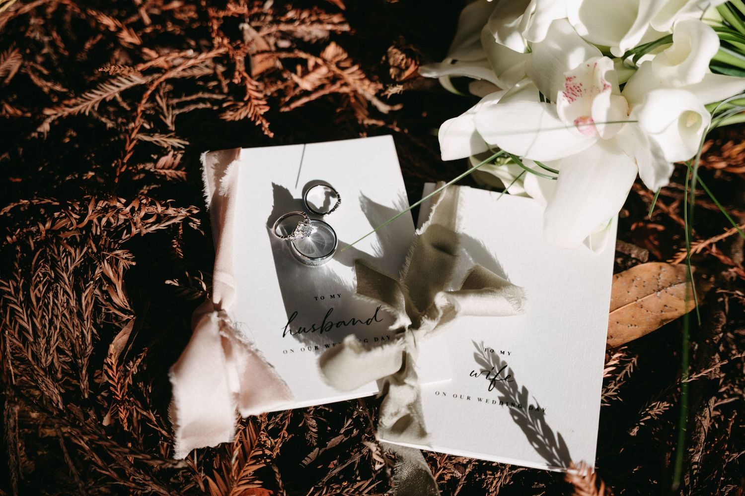 Wedding stationery with rings and white flowers on rustic dried foliage background.
