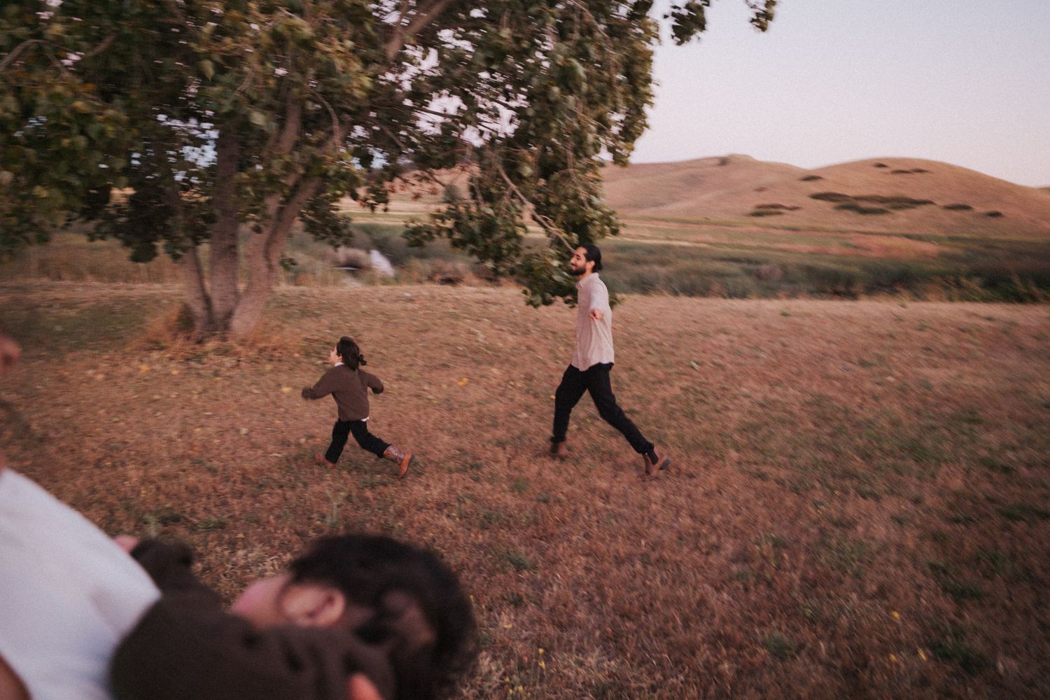 Two children and an adult playing in an open field with rolling hills and a tree in the background.