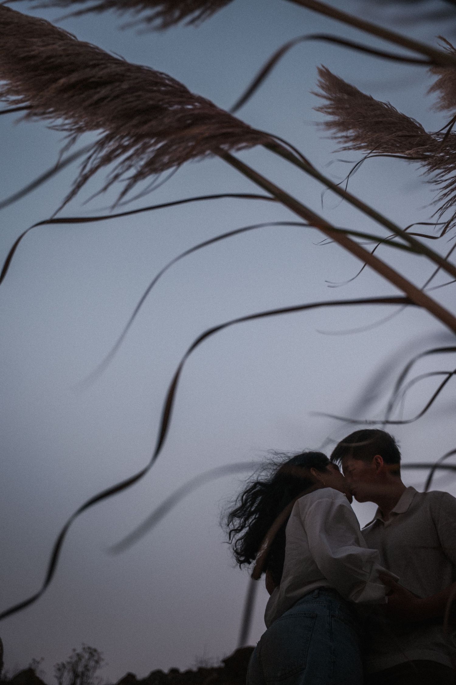 Couple sharing a romantic kiss at dusk framed by wispy pampas grass blowing in the wind against a blue sky.