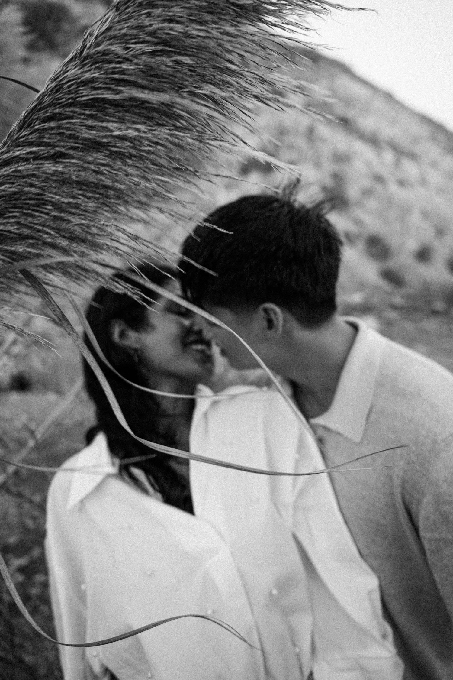 Black and white photo of a couple sharing a tender moment, framed by tall pampas grass in a natural outdoor setting.