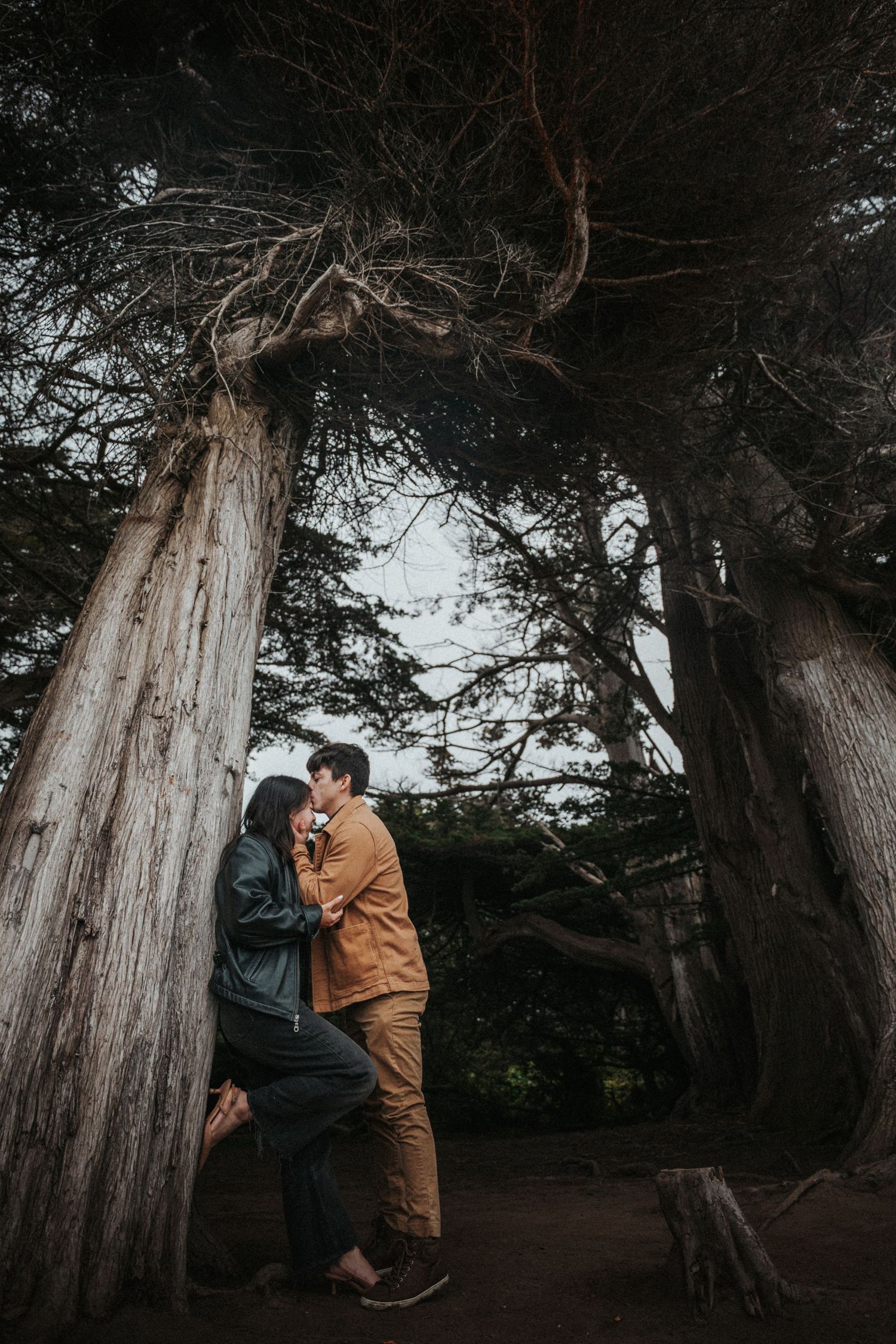 Couple sharing a romantic moment leaning against a large tree trunk in a misty forest setting.