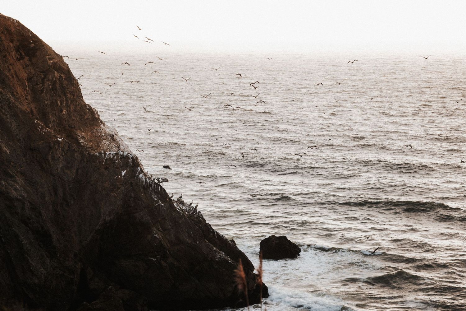 Seabirds flock over rugged coastal cliffs and choppy ocean waves on an overcast day.