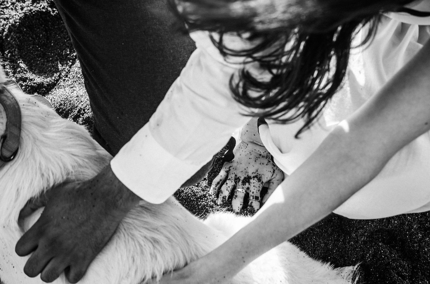 Black and white photo of a person petting a fluffy white dog, captured from above.Photography by The Y.K. Studio.