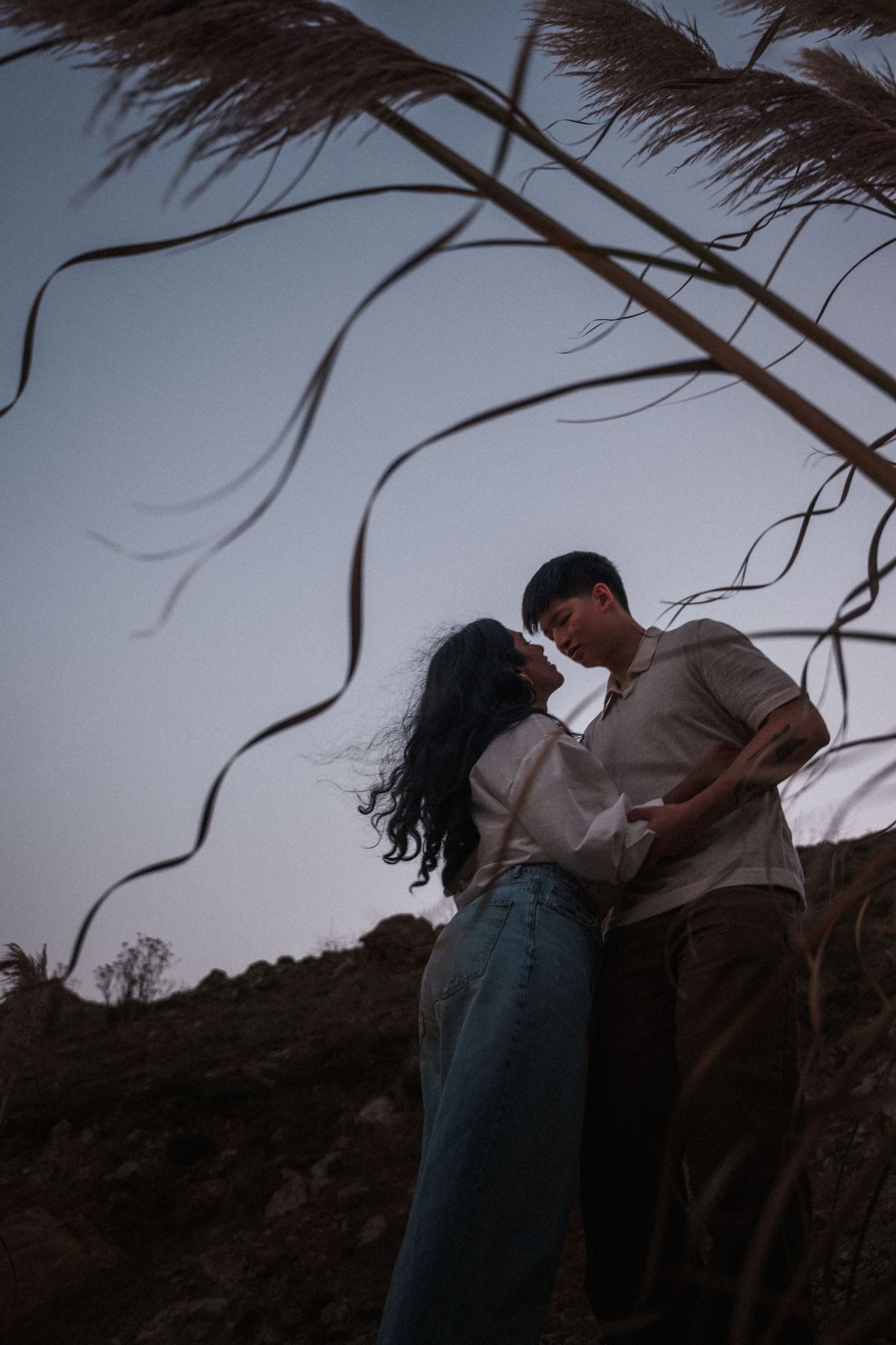 Romantic couple almost kissing under windswept pampas grass at dusk, woman in white shirt and blue jeans.