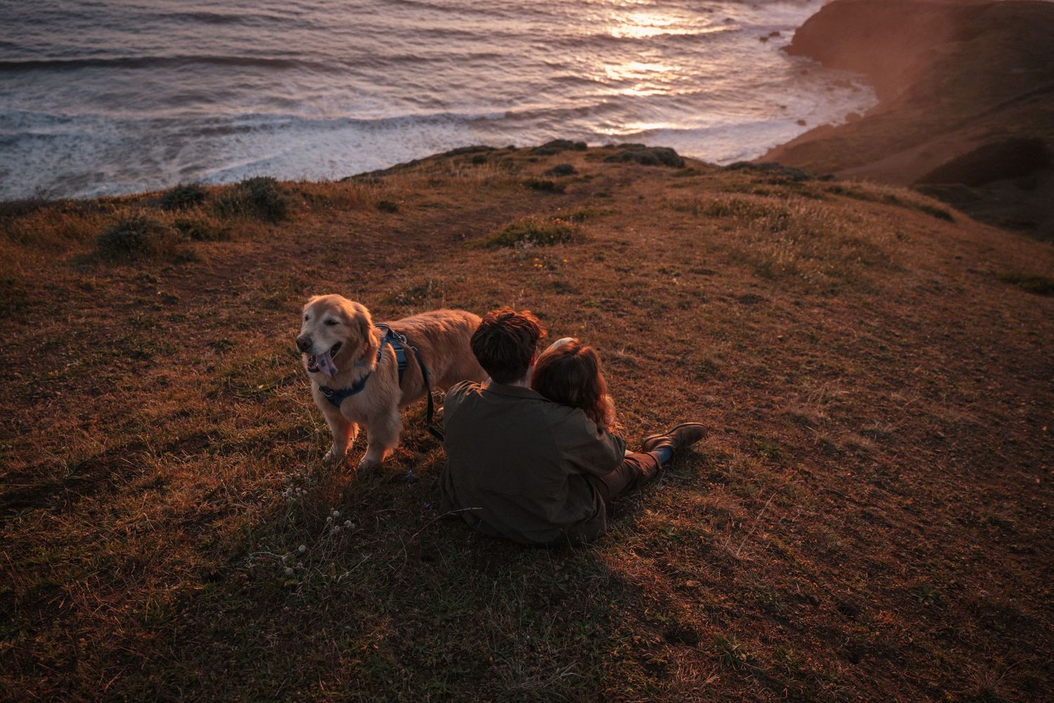 Couple sitting on coastal cliffside grass with golden retriever watching sunset over ocean.