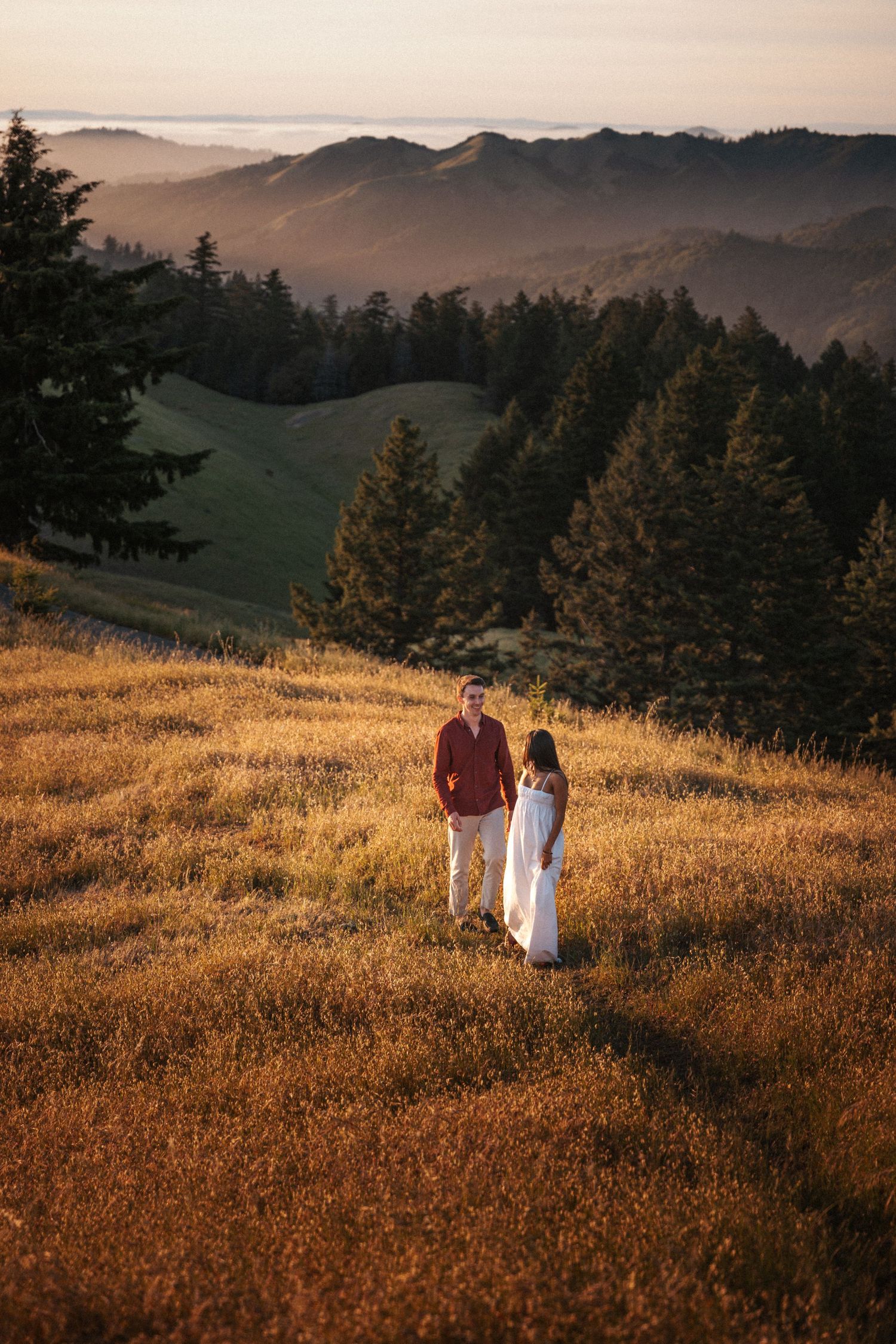 Couple holding hands on a sunlit hillside with evergreen trees and misty mountains behind.