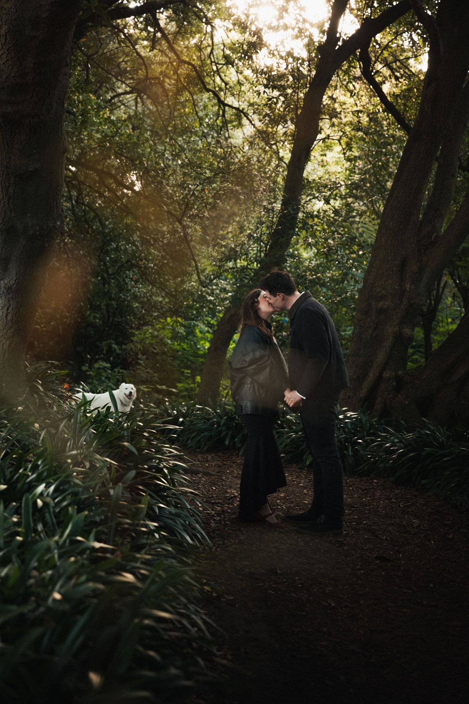 Couple sharing a romantic kiss on a forest path surrounded by lush green trees and soft golden light.