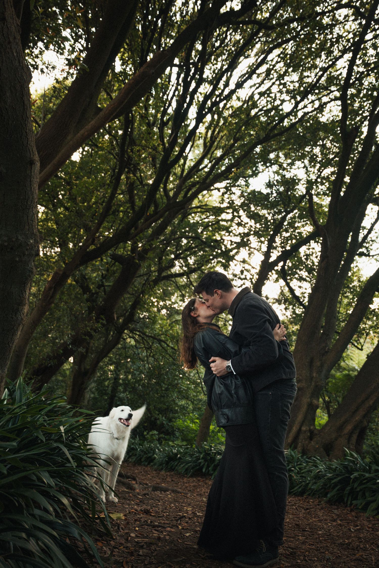 Couple kissing in a forest with a white dog jumping beside them.