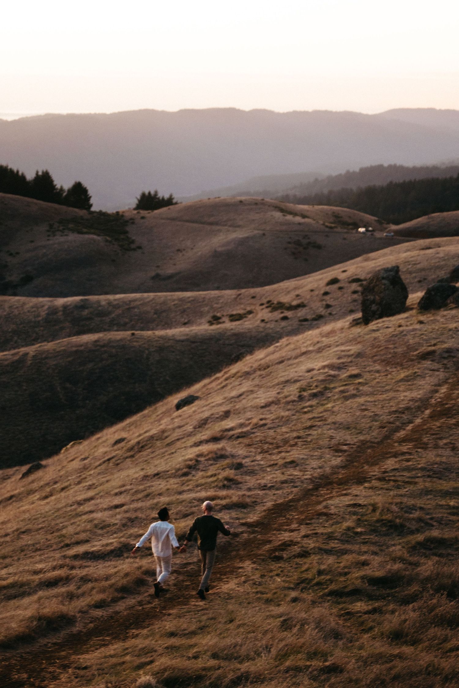 Two men holding hands walking across golden rolling hills at dusk.