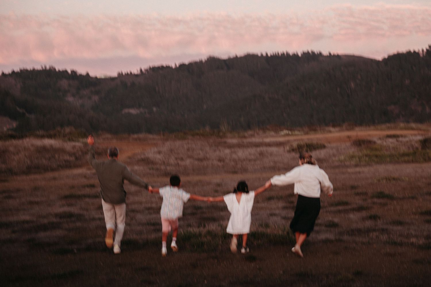 Family of four holding hands walking through a scenic mountain meadow at sunset with forested hills in the background.
