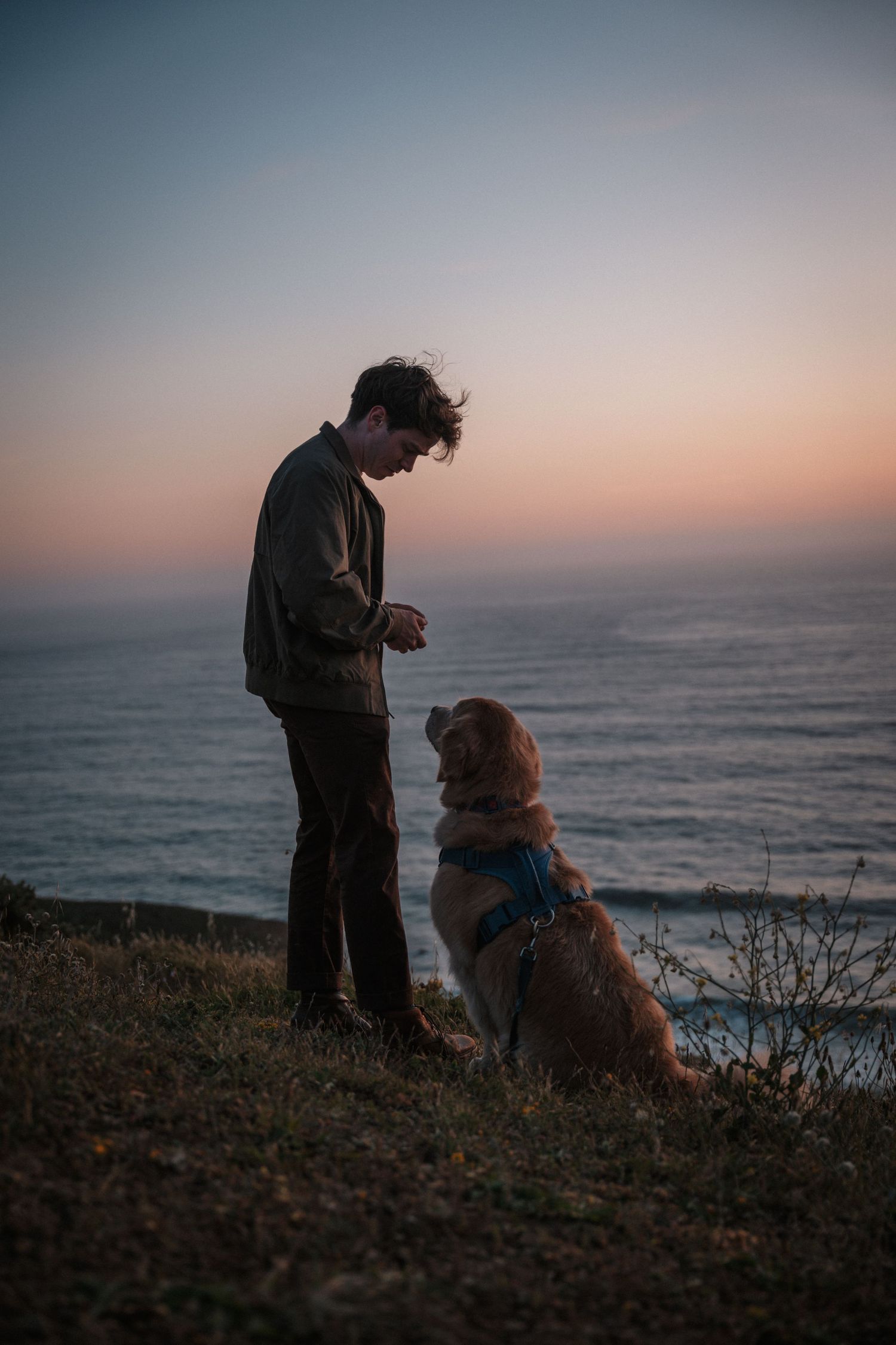 Young man training his golden retriever on a coastal cliff at sunset.