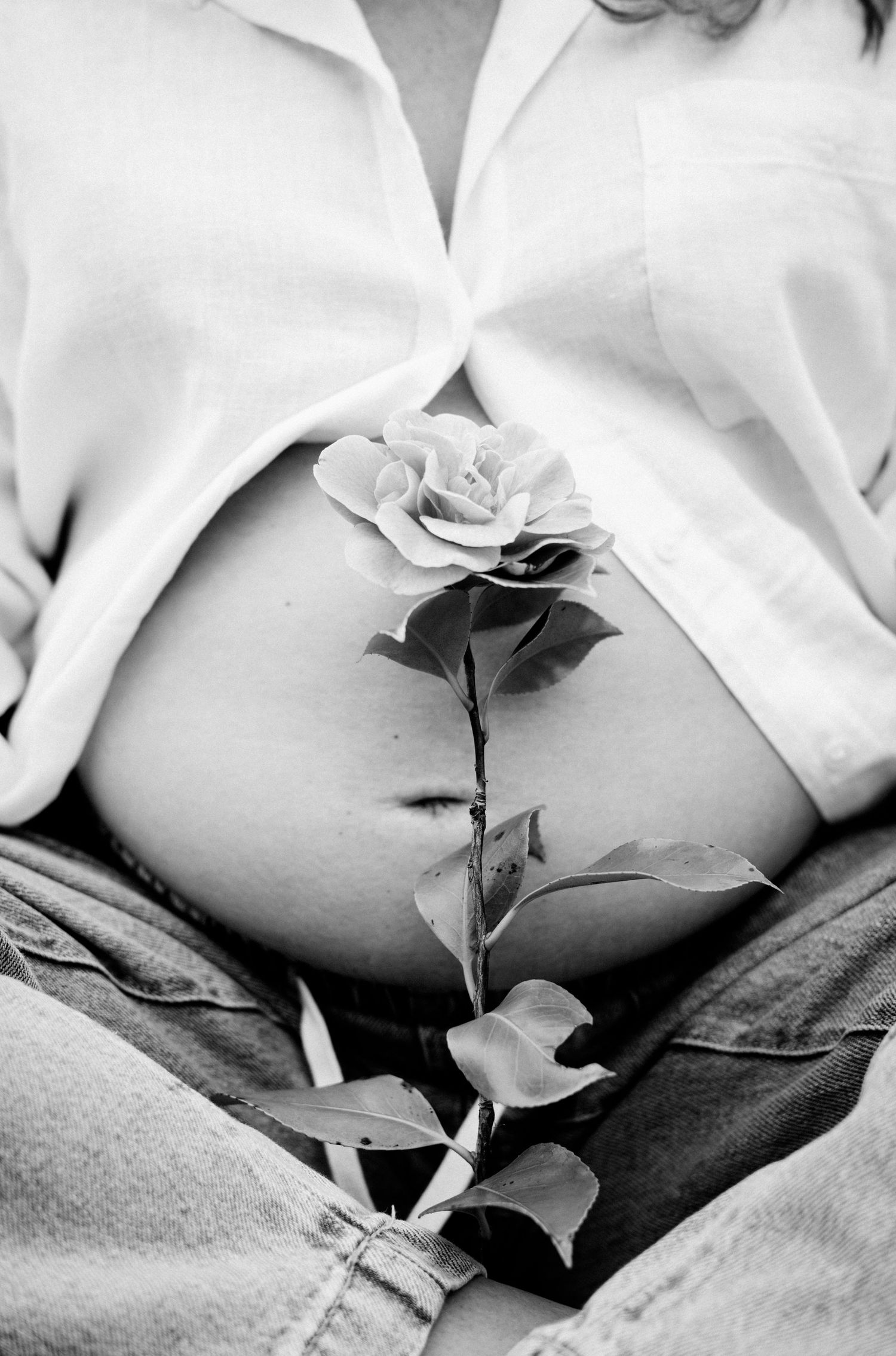 Close-up black and white photo of a pregnant belly with a rose flower stem placed against it.