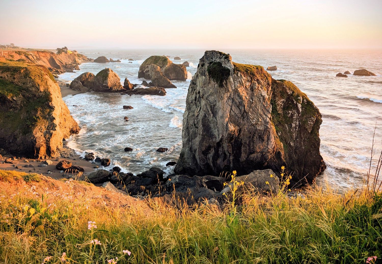 Golden hour sunlight illuminating rugged coastal rock formations with wildflowers and ocean waves below.