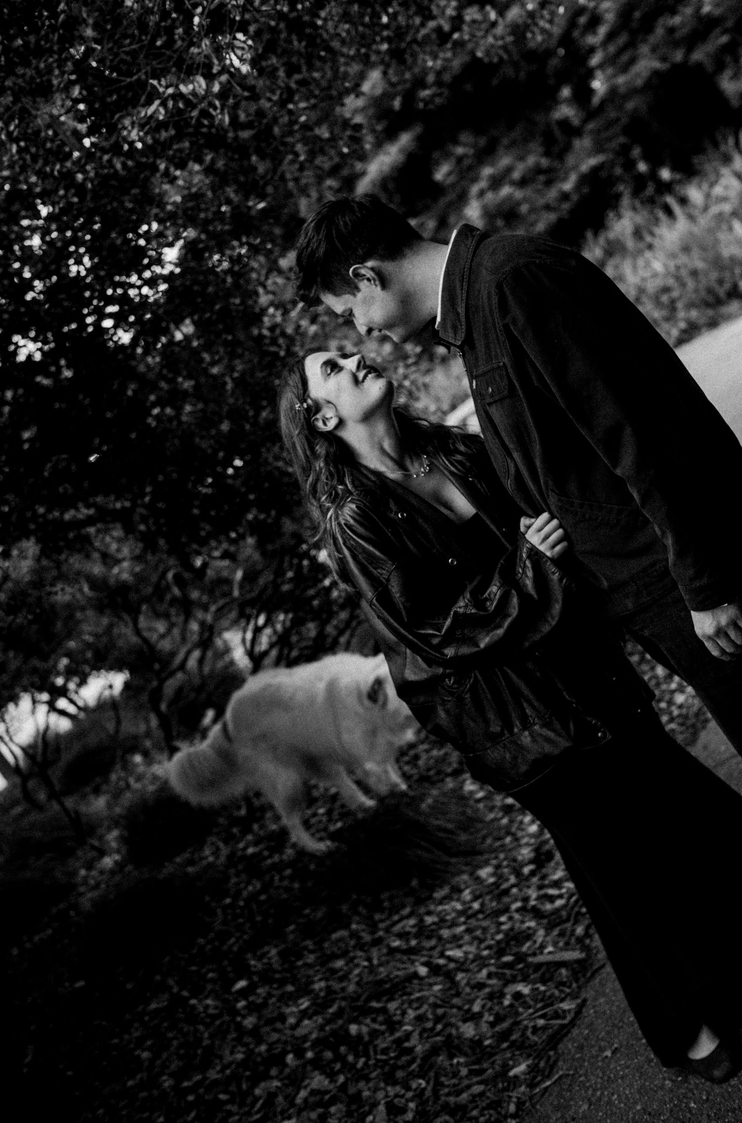 Black and white romantic photo of couple sharing a kiss outdoors with a fluffy white dog passing by in background.