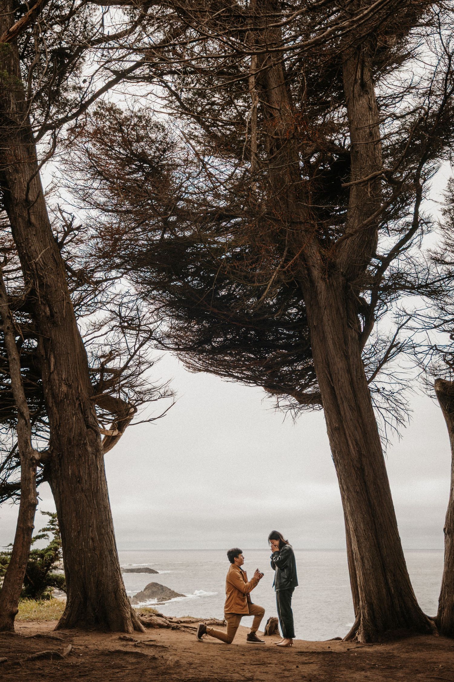 Man proposes on one knee among coastal cypress trees with ocean views in a romantic outdoor engagement moment.