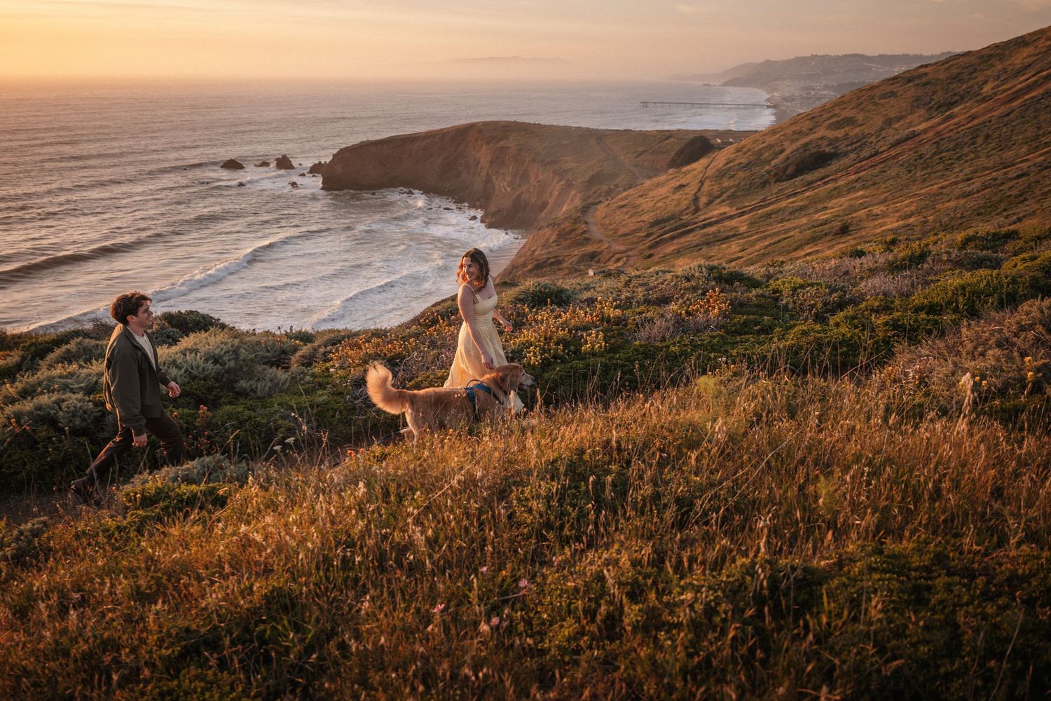 Couple walking with golden dog on coastal cliffside meadow at golden hour sunset with ocean views. Photography by The Y.K. Studio.