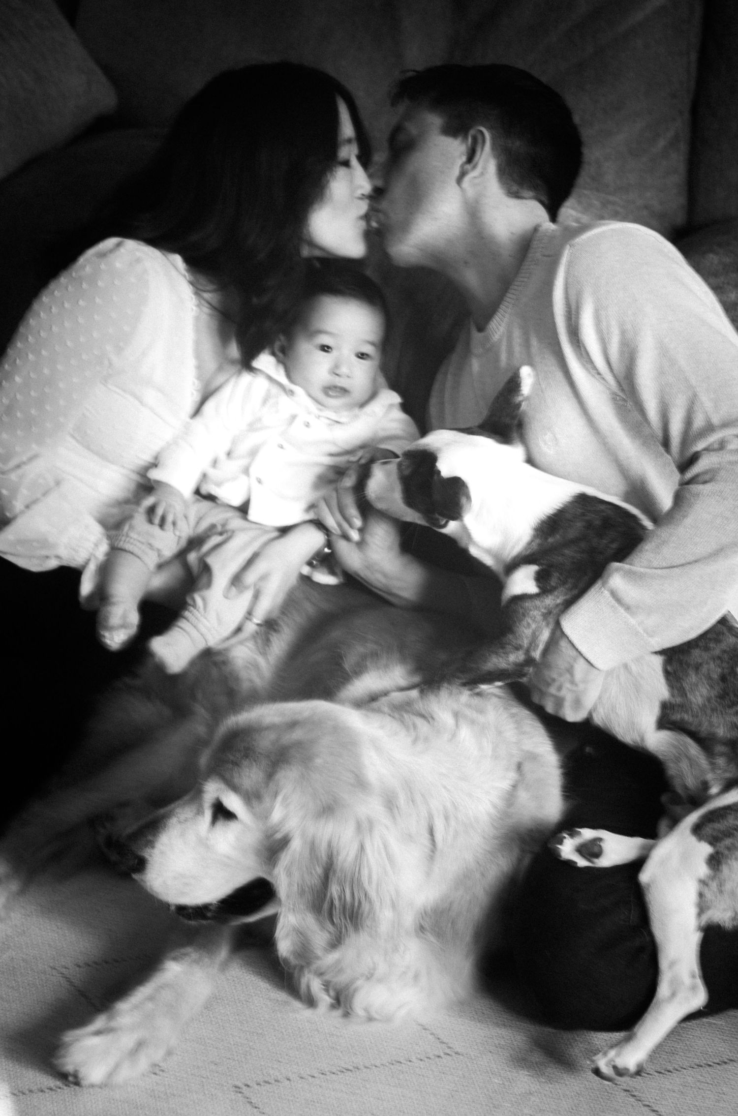 Black and white family photo of couple kissing while holding baby with two dogs on couch.