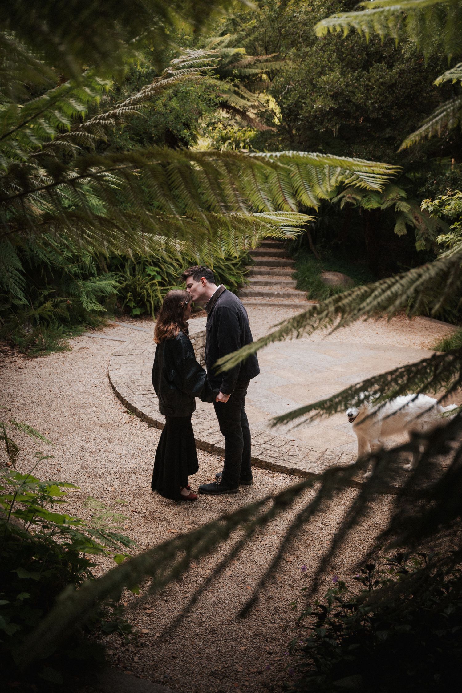 Couple sharing a romantic moment on a gravel path surrounded by lush green ferns in a botanical garden.