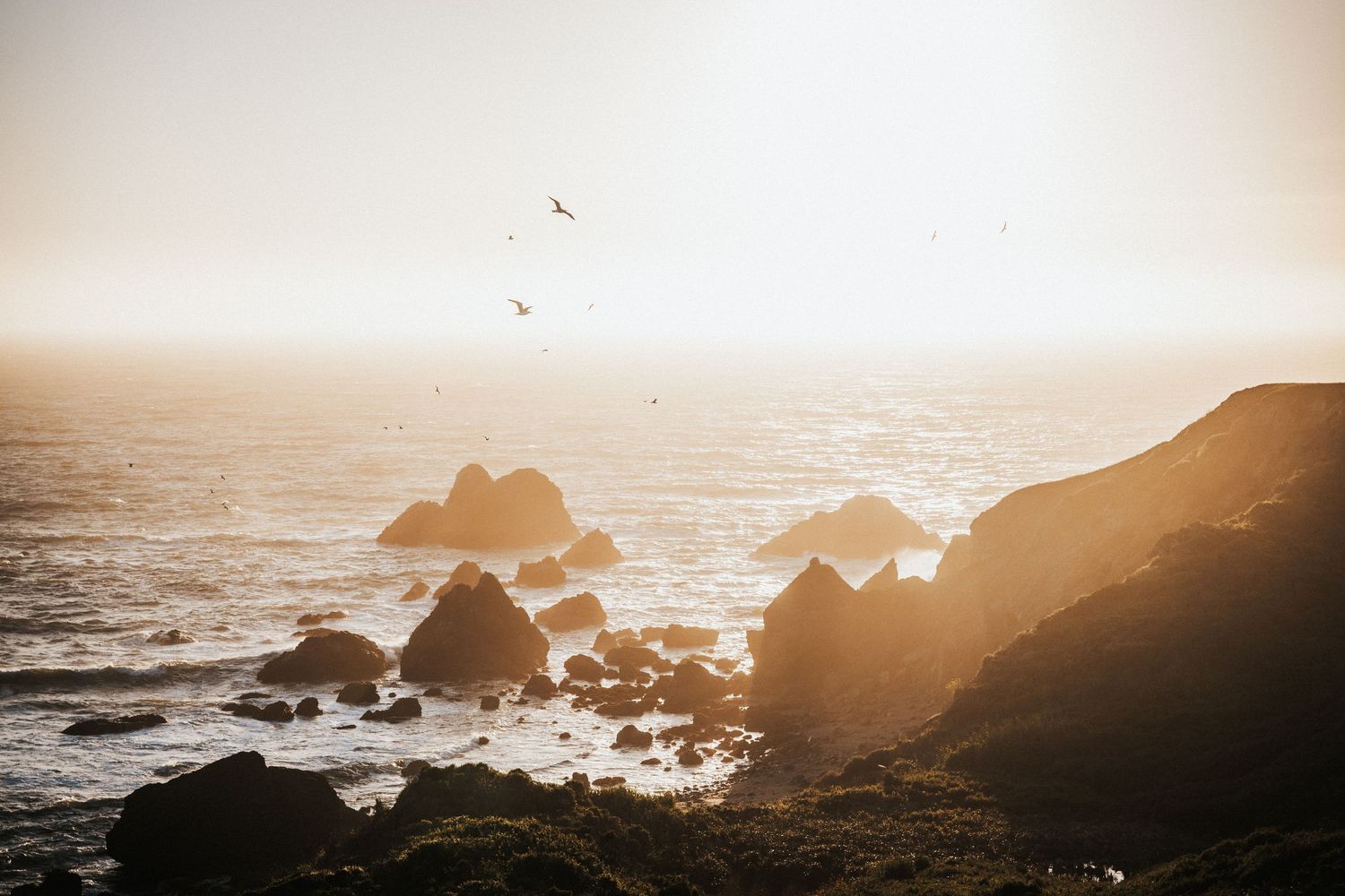 Golden hour sunlight illuminates rocky coastal cliffs with seabirds soaring above crashing ocean waves at a scenic shoreline.