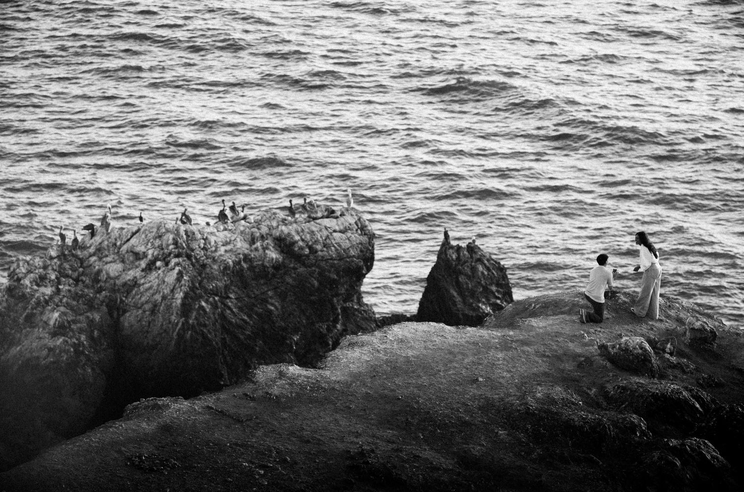 Black and white photo of people photographing seabirds on rocky coastal cliffs beside the ocean.