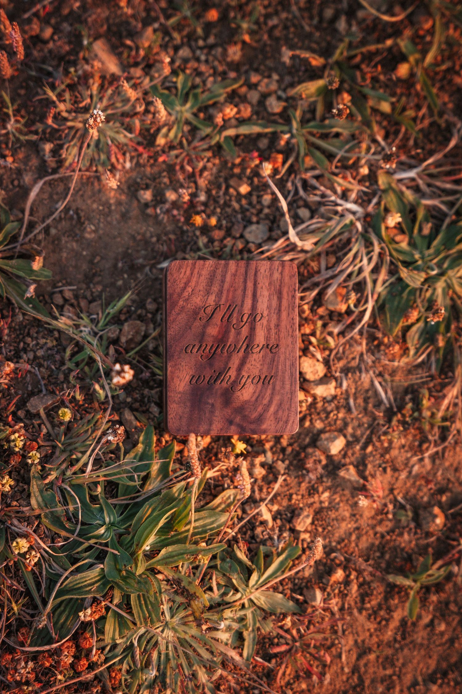 Wooden card engraved with 'I'll go anywhere with you' resting on rocky ground with small green plants. Photography by The Y.K. Studio.