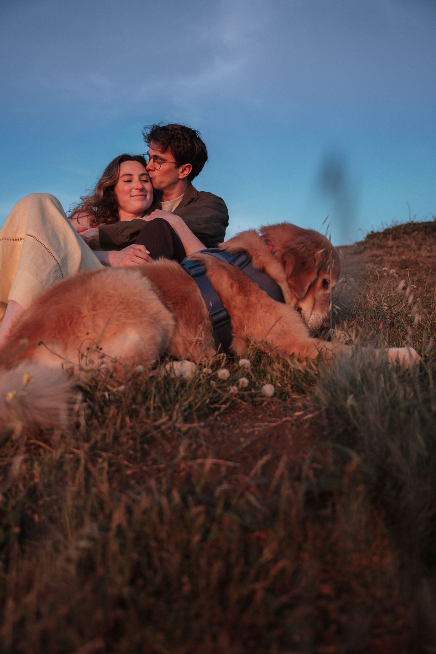 Couple sitting on grass at sunset, man kissing woman's cheek while golden retriever rests beside them outdoors.Photography by The Y.K. Studi