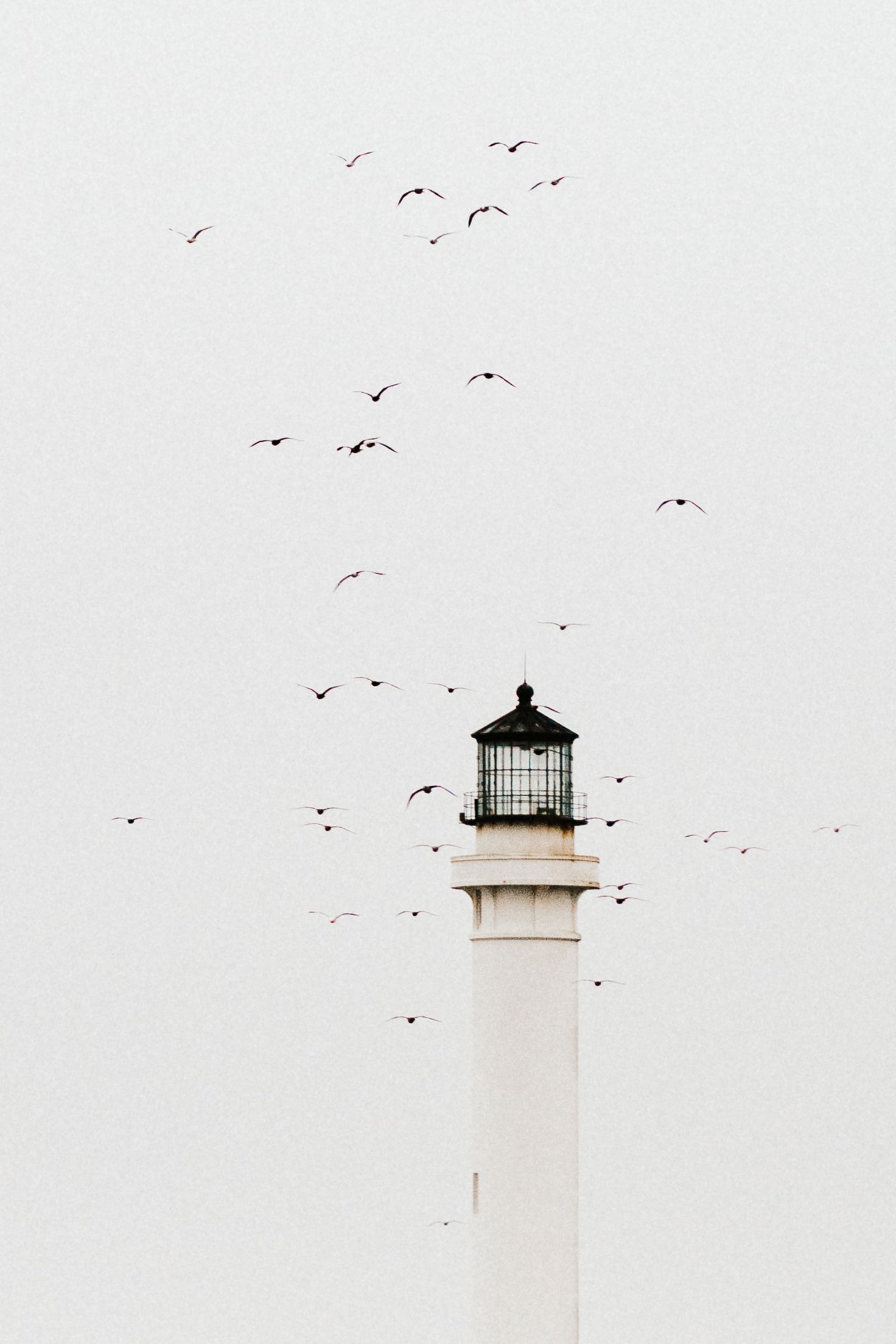 Minimalist white lighthouse tower with flock of seagulls flying against pale gray overcast sky.