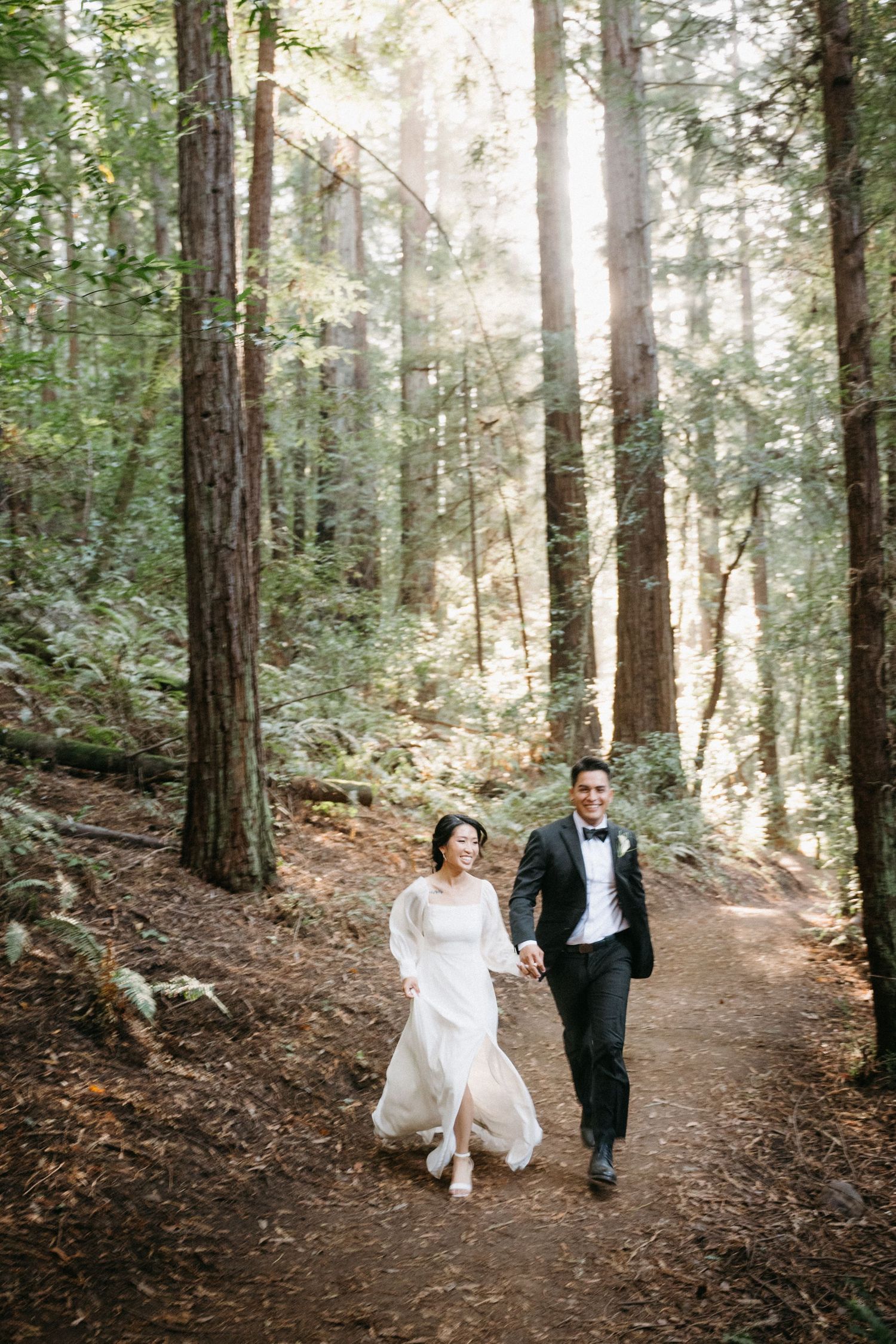 Bride and groom walking hand in hand through a sunlit redwood forest on their wedding day.
