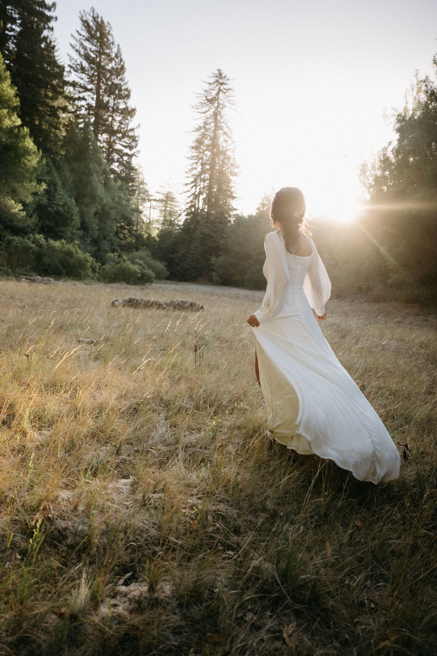 Bride in flowing white gown walks through golden meadow at sunset with tall evergreen trees in background.