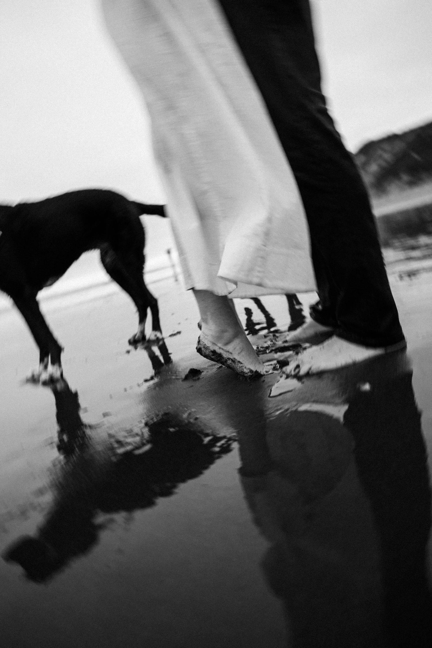 Black and white beach photo of couple's feet with wet sand reflections and a black dog nearby.