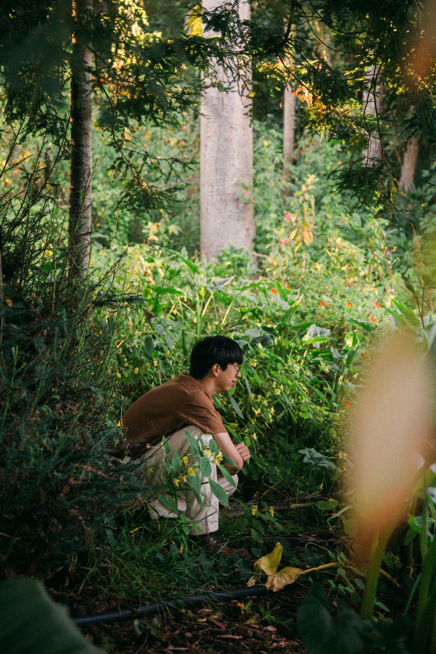 Person crouching in lush green forest garden, exploring plants among tall trees in soft natural light.