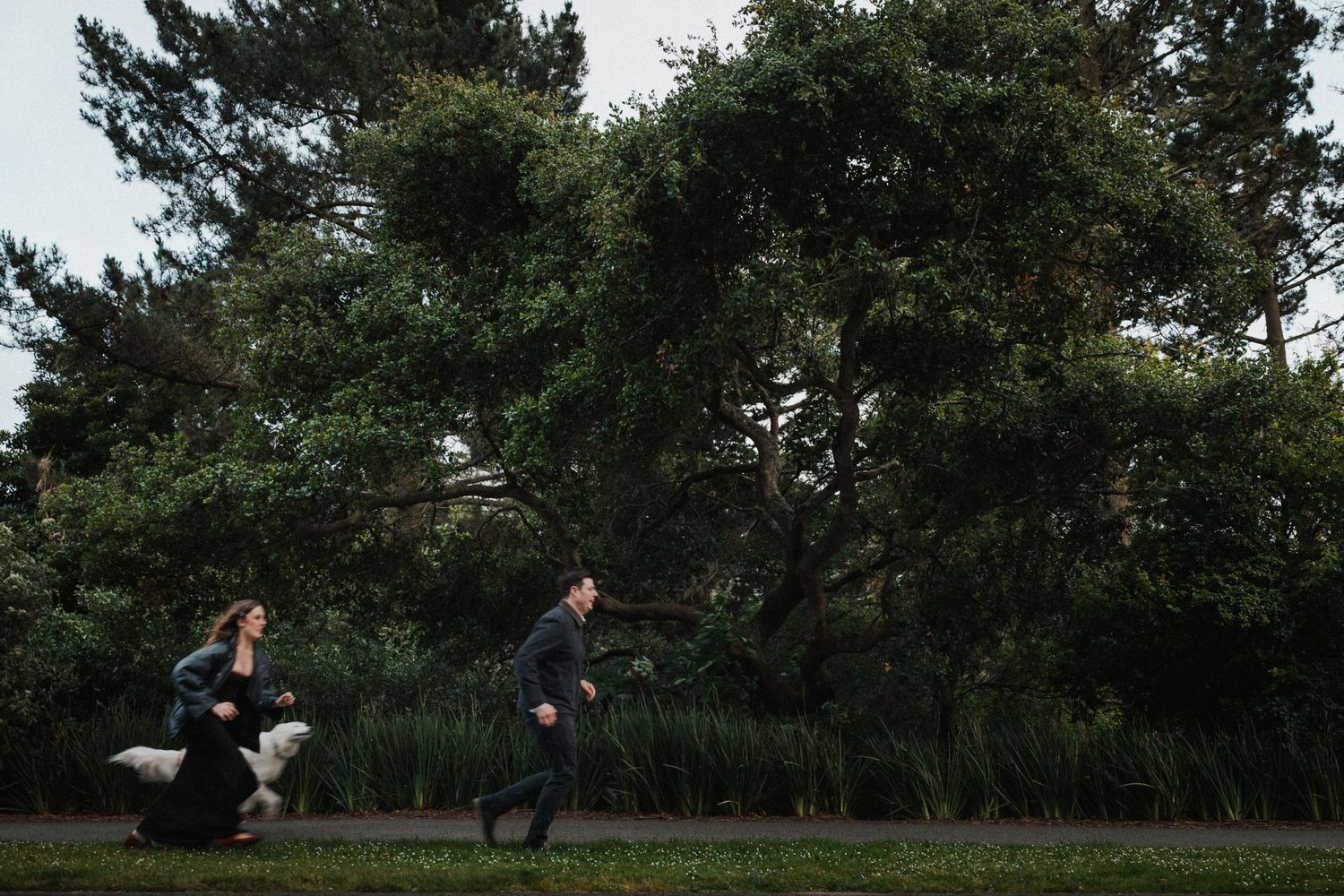 Couple walking with white dog in lush green park, surrounded by tall trees on overcast day.
