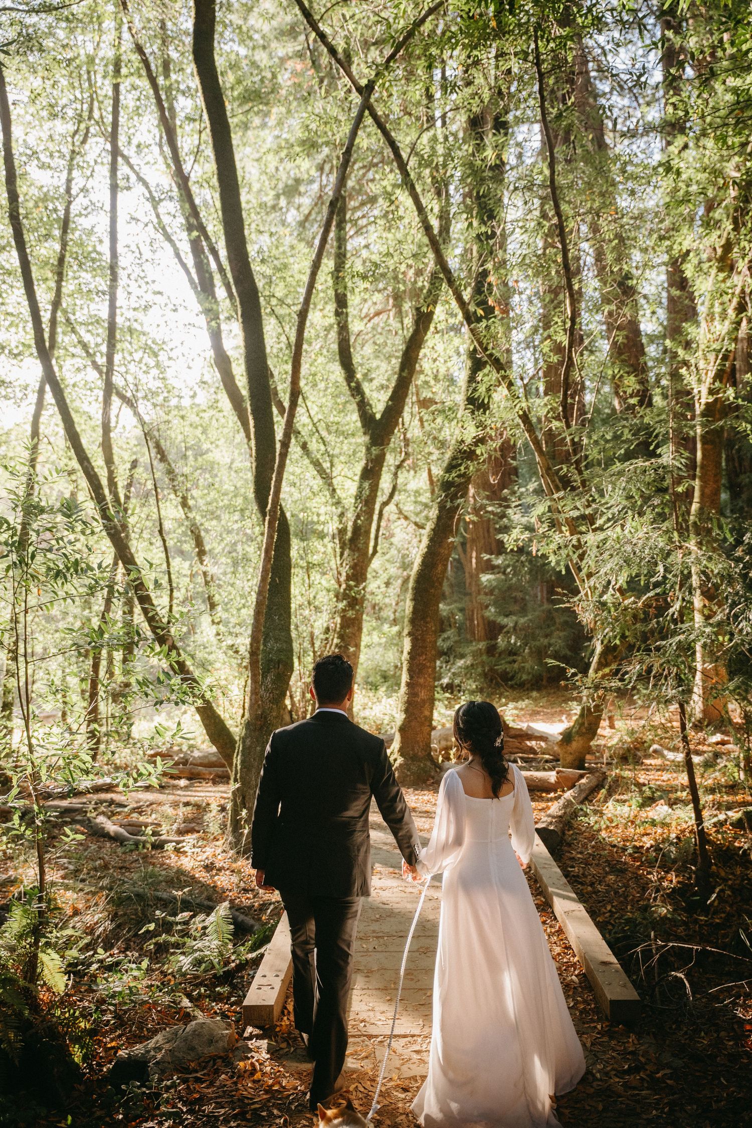 Wedding couple walking away on a forest path surrounded by tall trees and dappled sunlight.