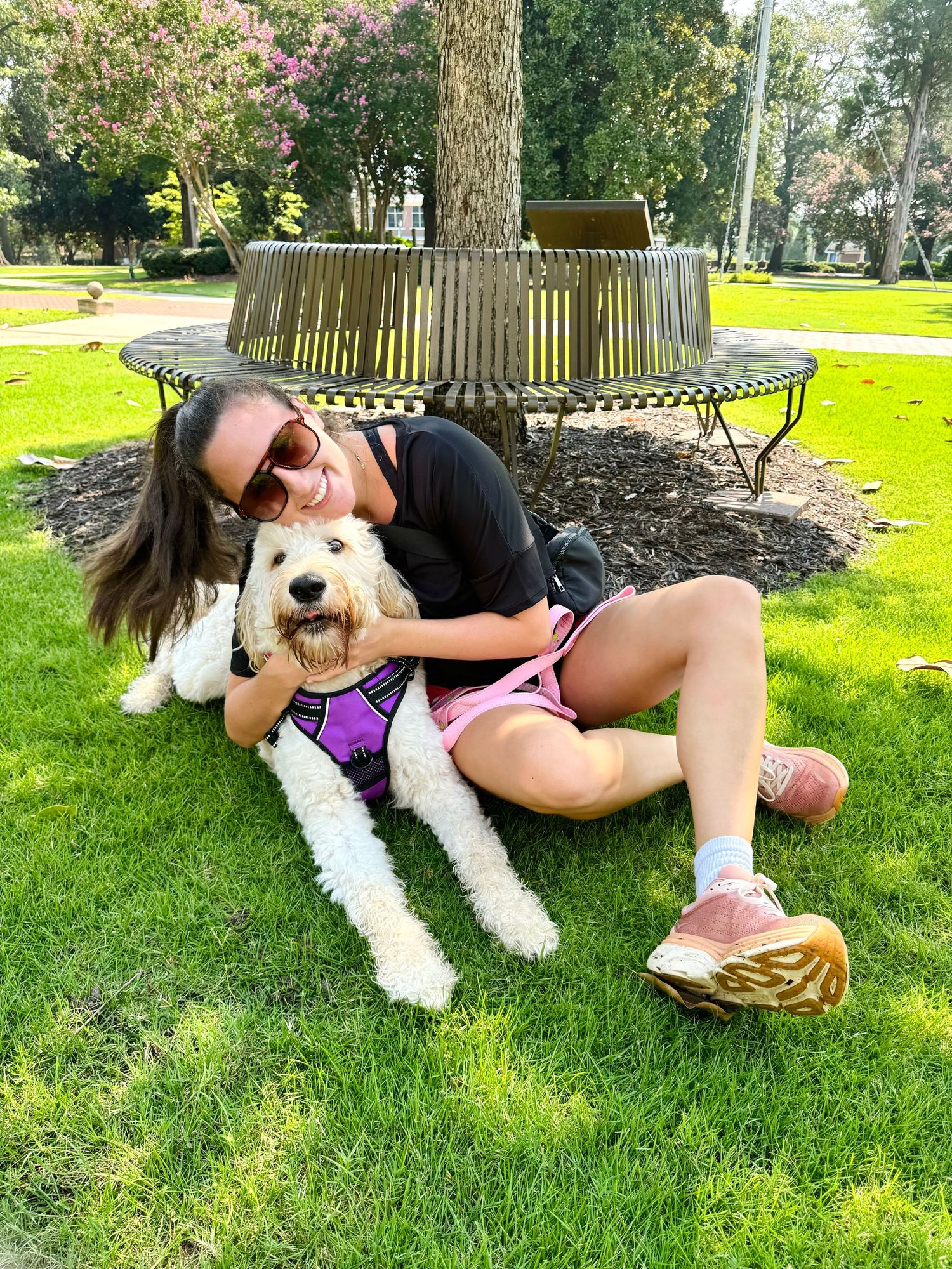 Woman sitting on grass in a park hugging her fluffy white Goldendoodle dog wearing a purple harness.