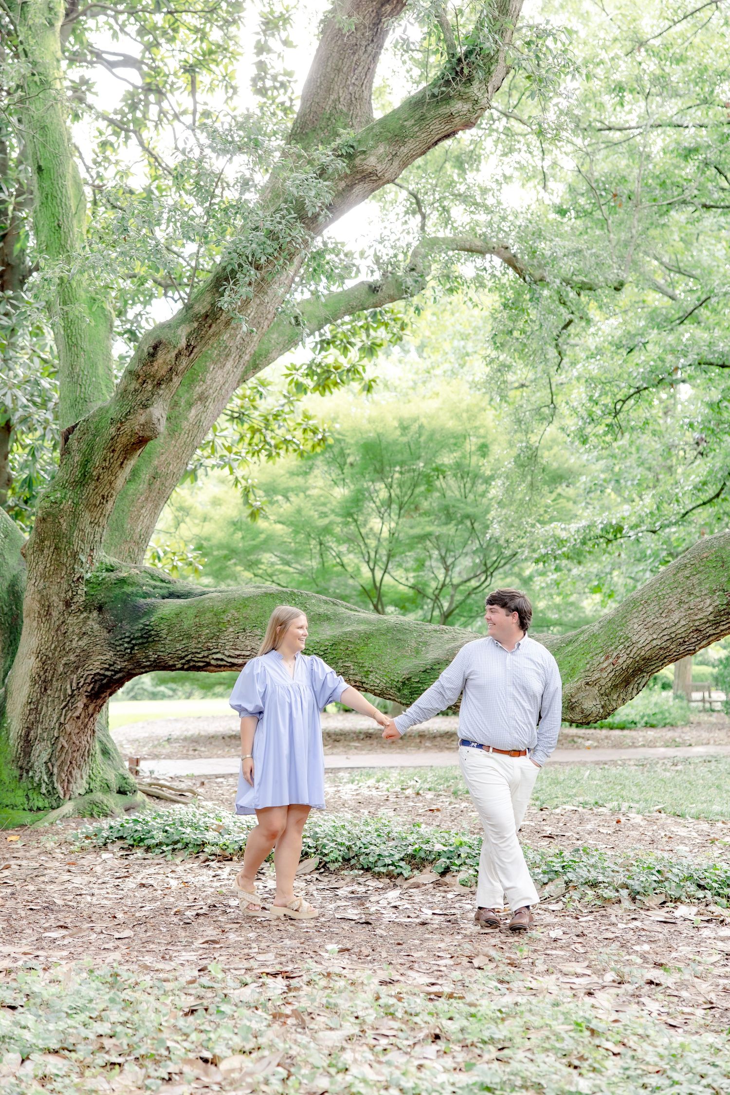 Couple holding hands and walking under a massive oak tree in a lush green park.
