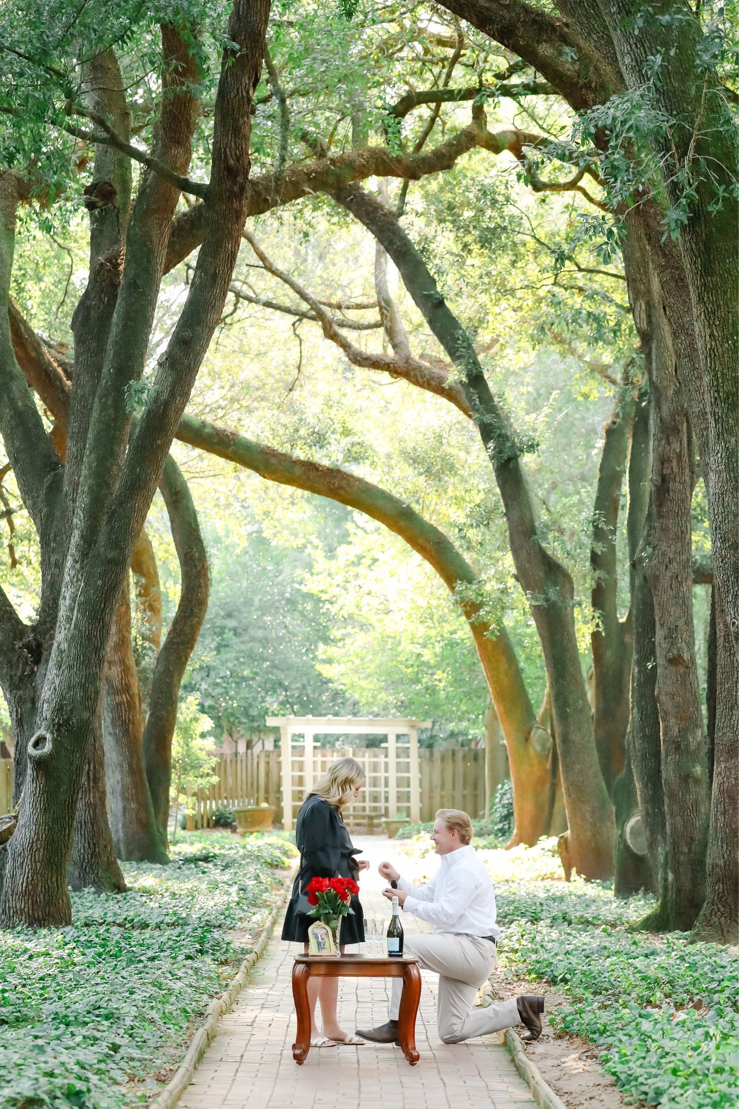 Man proposing on one knee to woman on brick path lined with oak trees, red roses on antique table.