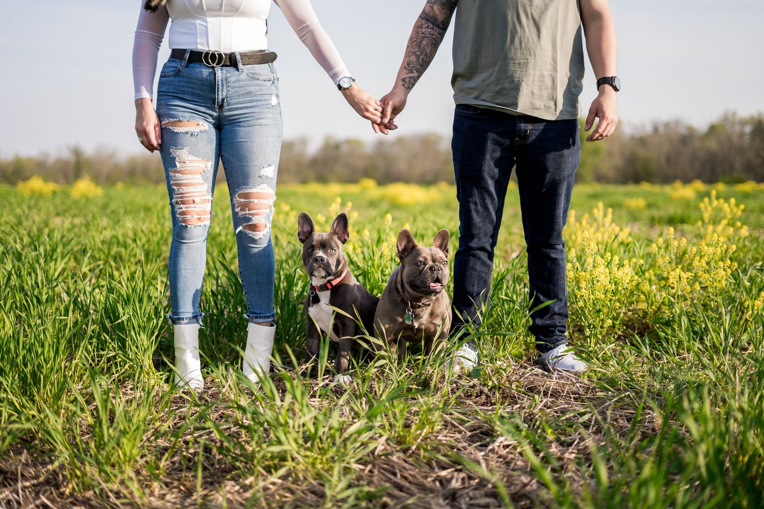 Couple holding hands in a green field with two French Bulldogs sitting between them on a sunny day.