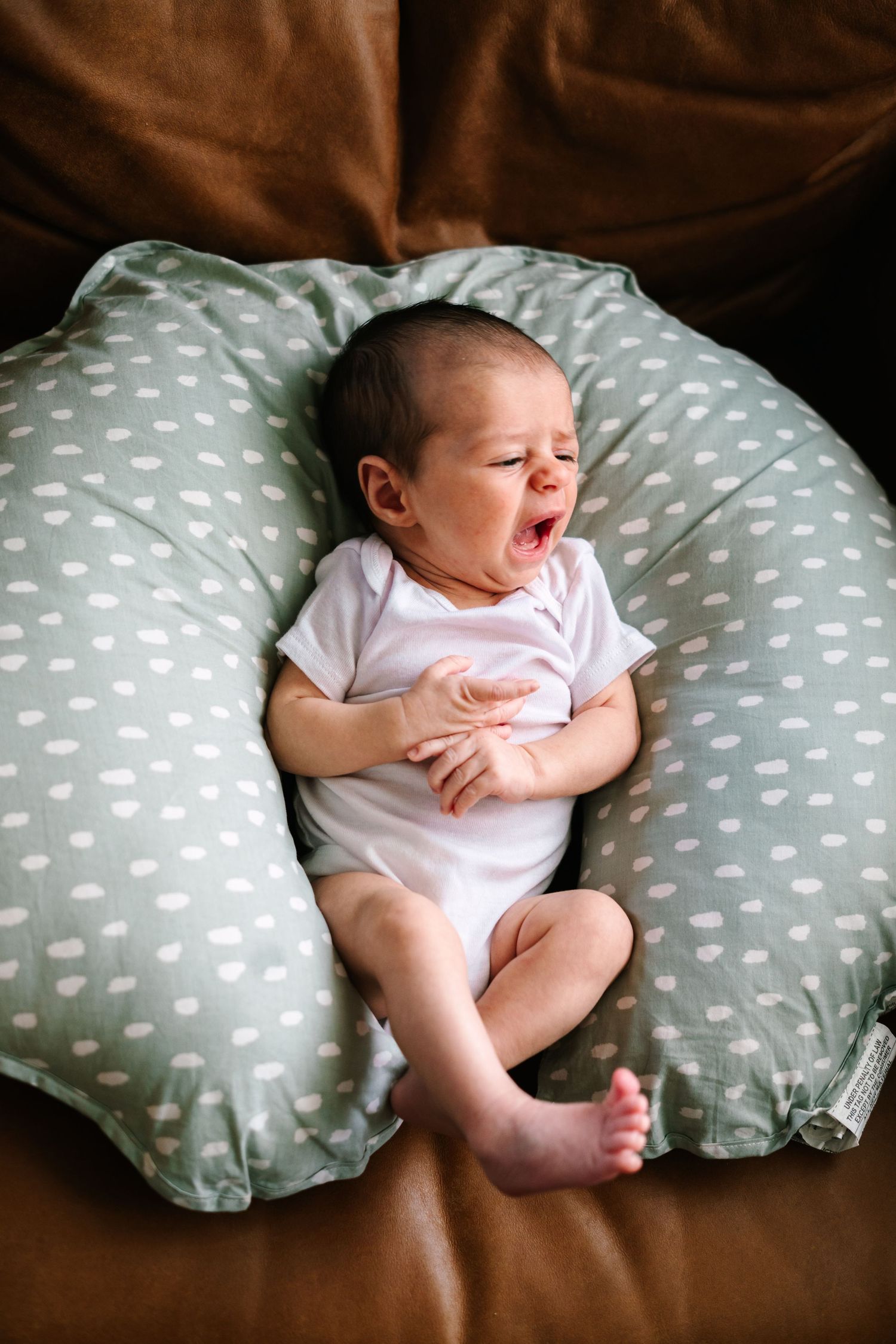 Newborn baby yawning on a green polka dot nursing pillow on a brown couch.